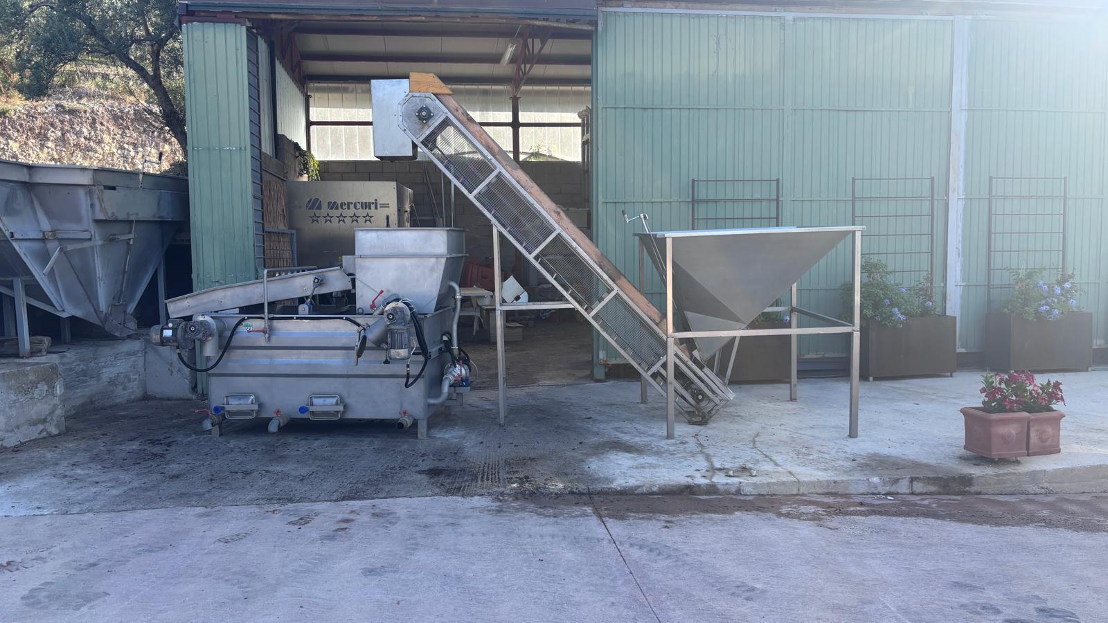 Lavatrice Olive per Frantoio Oleario DEMO DE1500 in vendita - foto 6