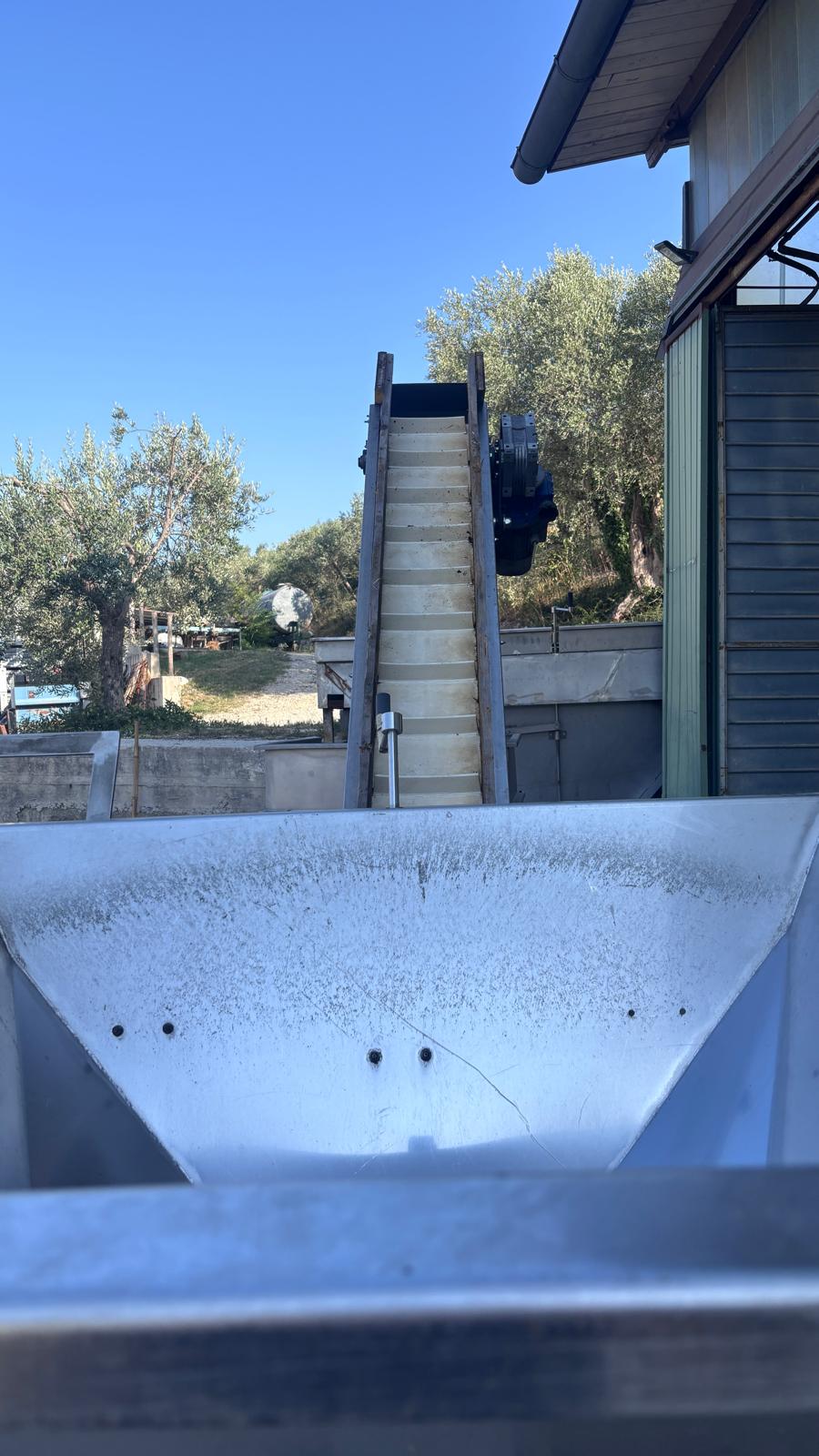 Lavatrice Olive per Frantoio Oleario DEMO DE1500 in vendita - foto 2