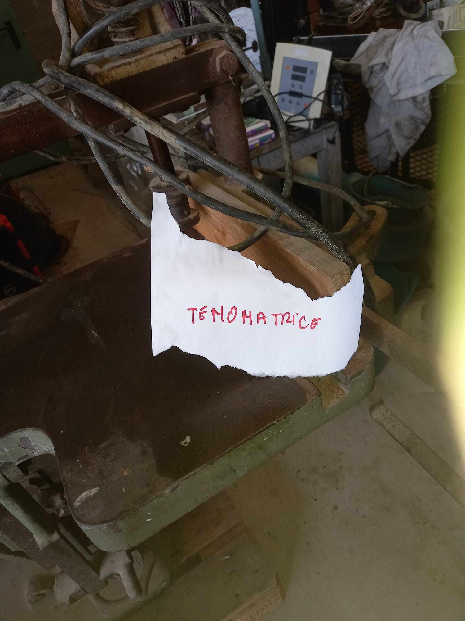 tenonatrice per legno in vendita - foto 3