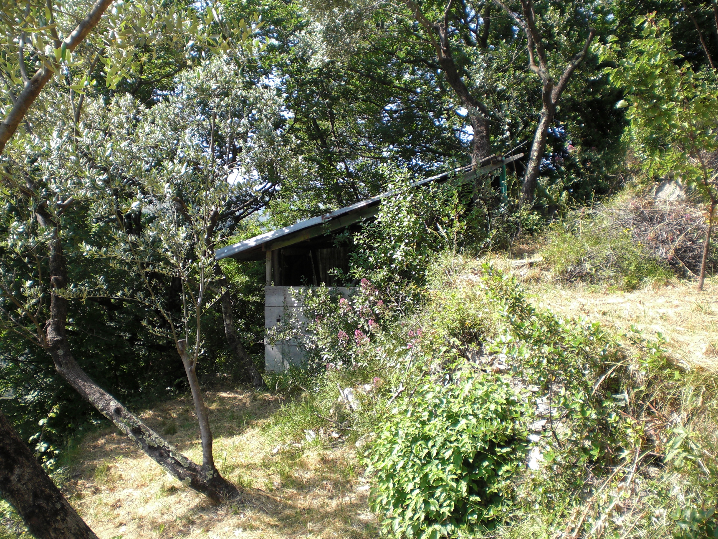Terreno Recco (GE) Collodari in vendita - foto 2