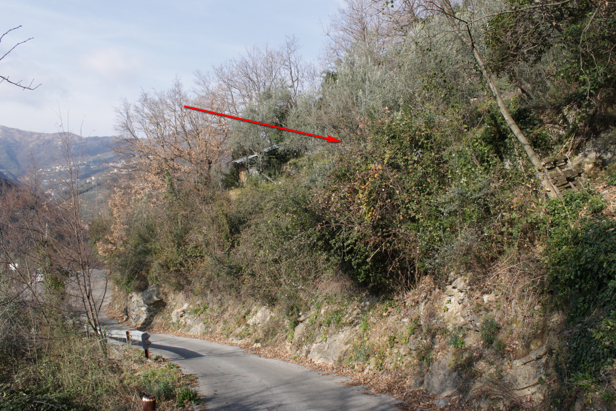 Terreno Recco (GE) Collodari in vendita - foto 3