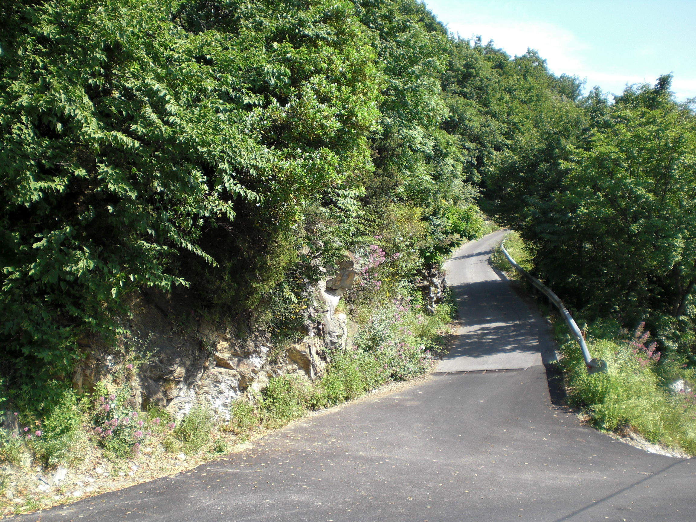 Terreno Recco (GE) Collodari in vendita - foto 4