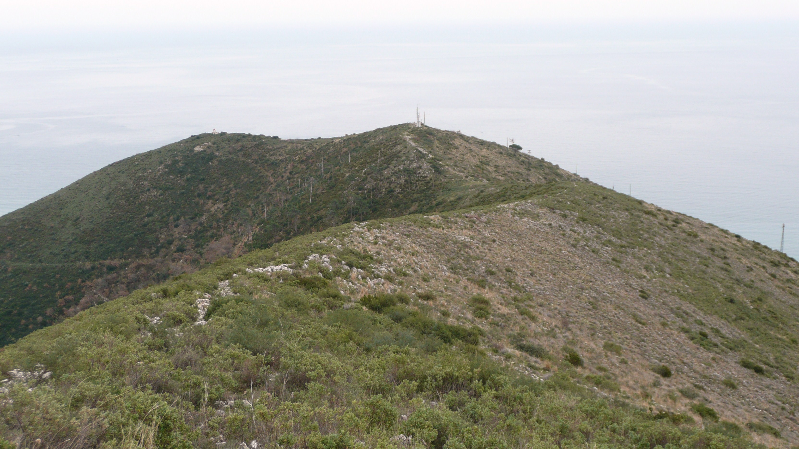 Terreno Ceriale (SV) monte Piccaro in vendita - foto 5