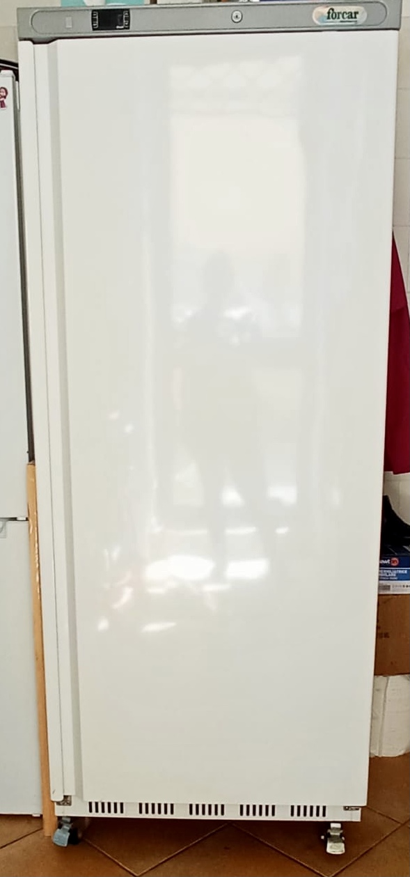 Vendo armadio frigo 700L in vendita - foto 1