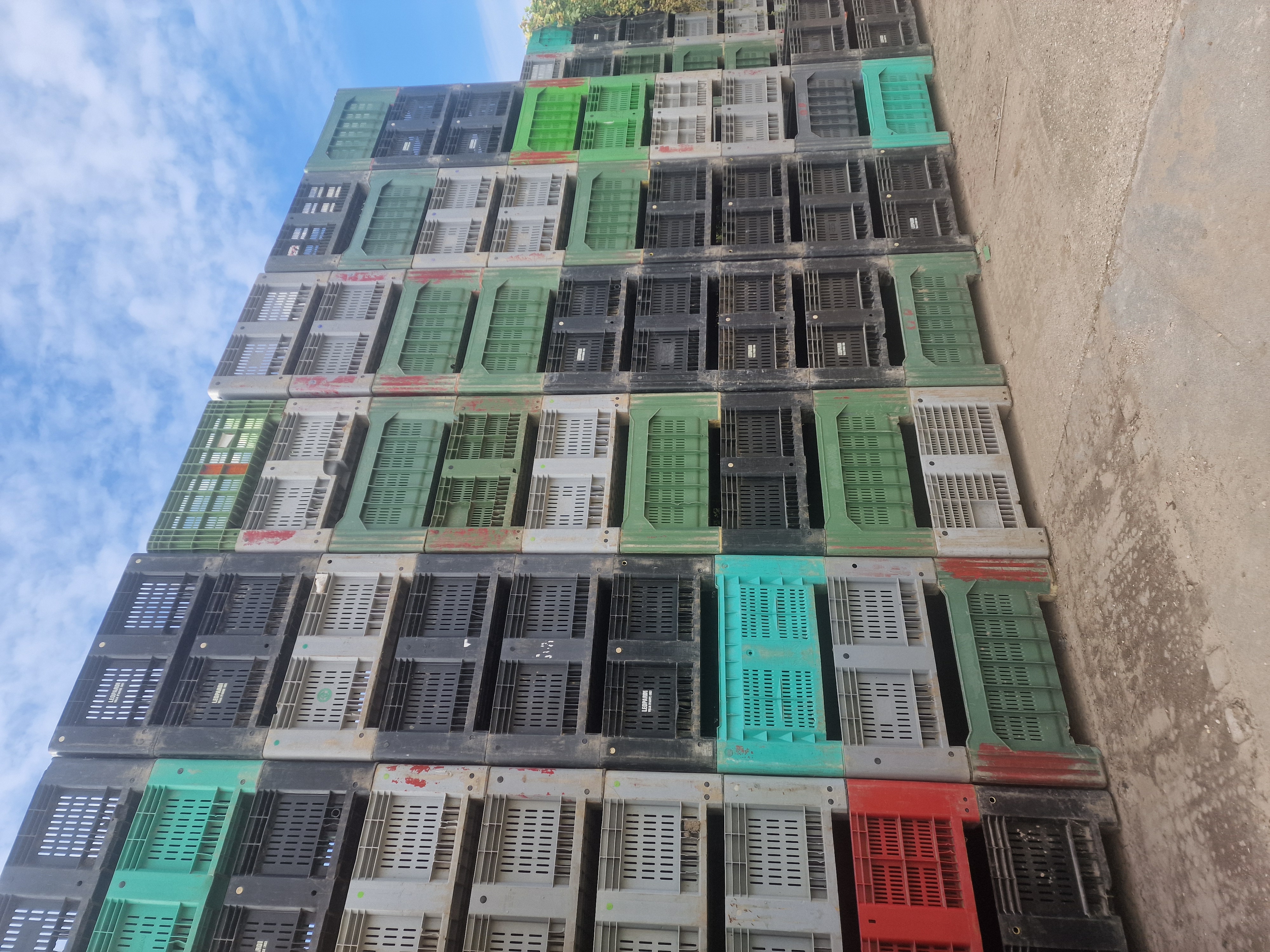 BINS USATI DI PLASTICA in vendita - foto 1
