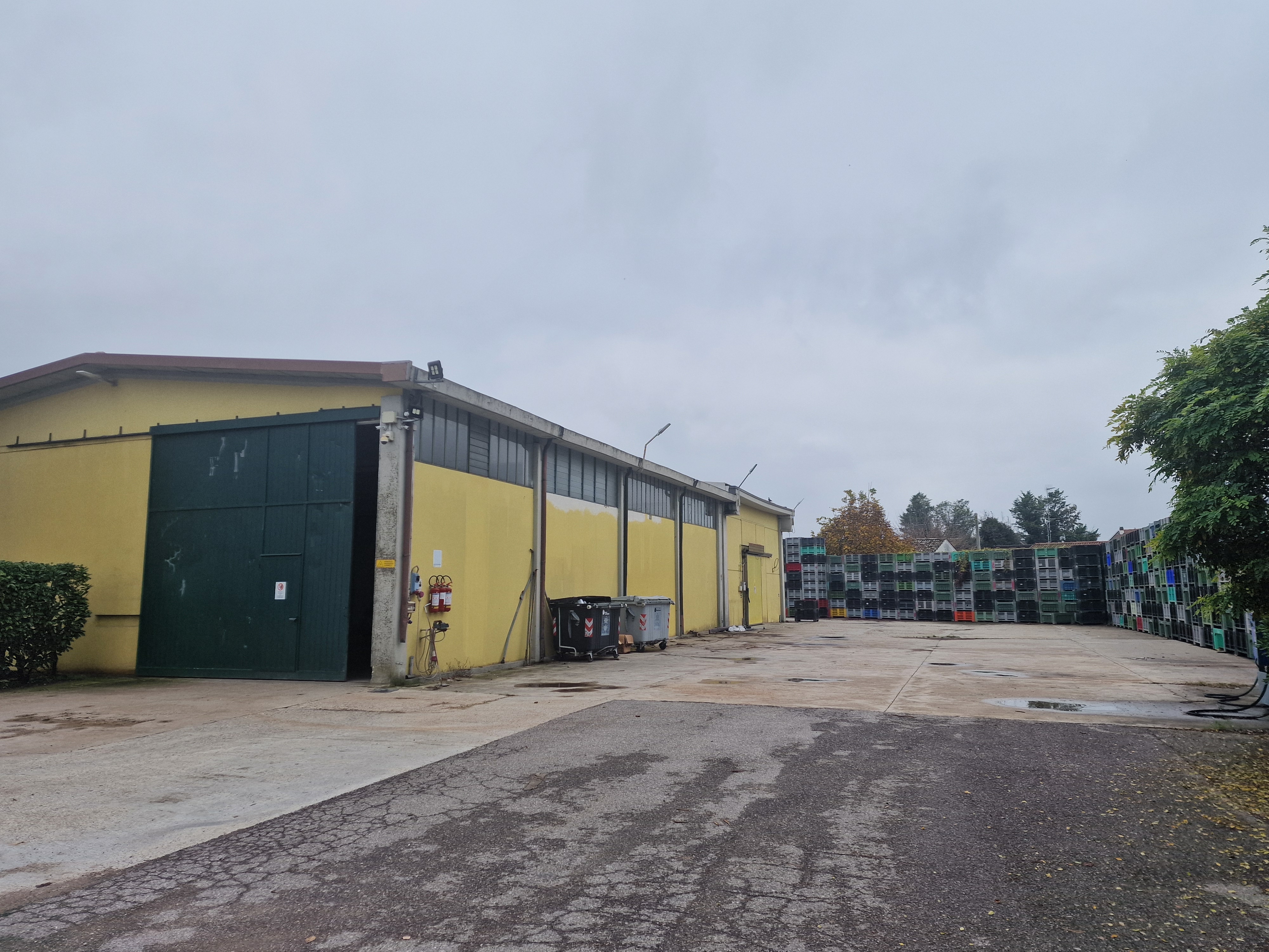 Capannone con celle frigo, uffici e terreno in vendita - foto 2