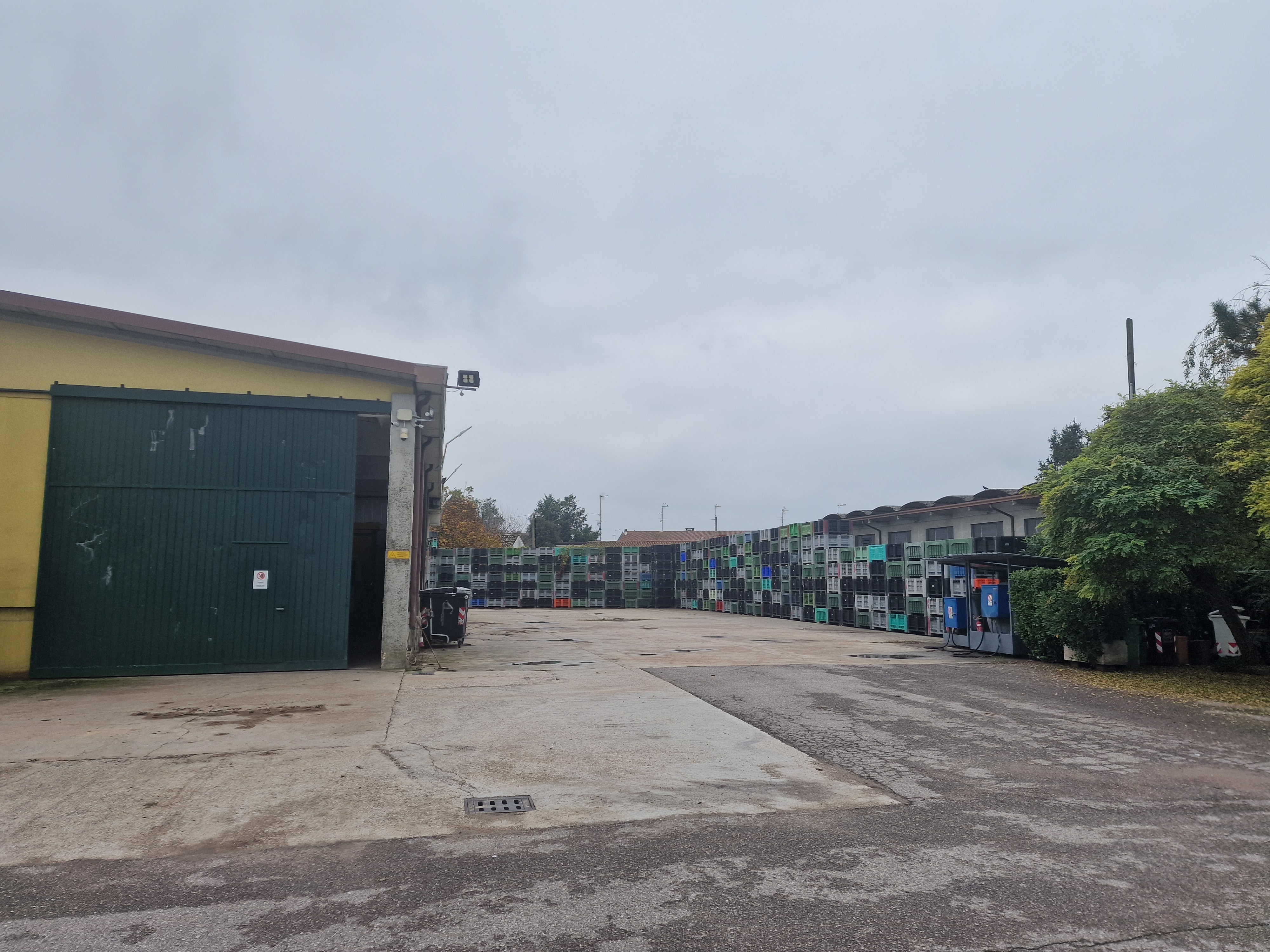 Capannone con celle frigo, uffici e terreno in vendita - foto 3