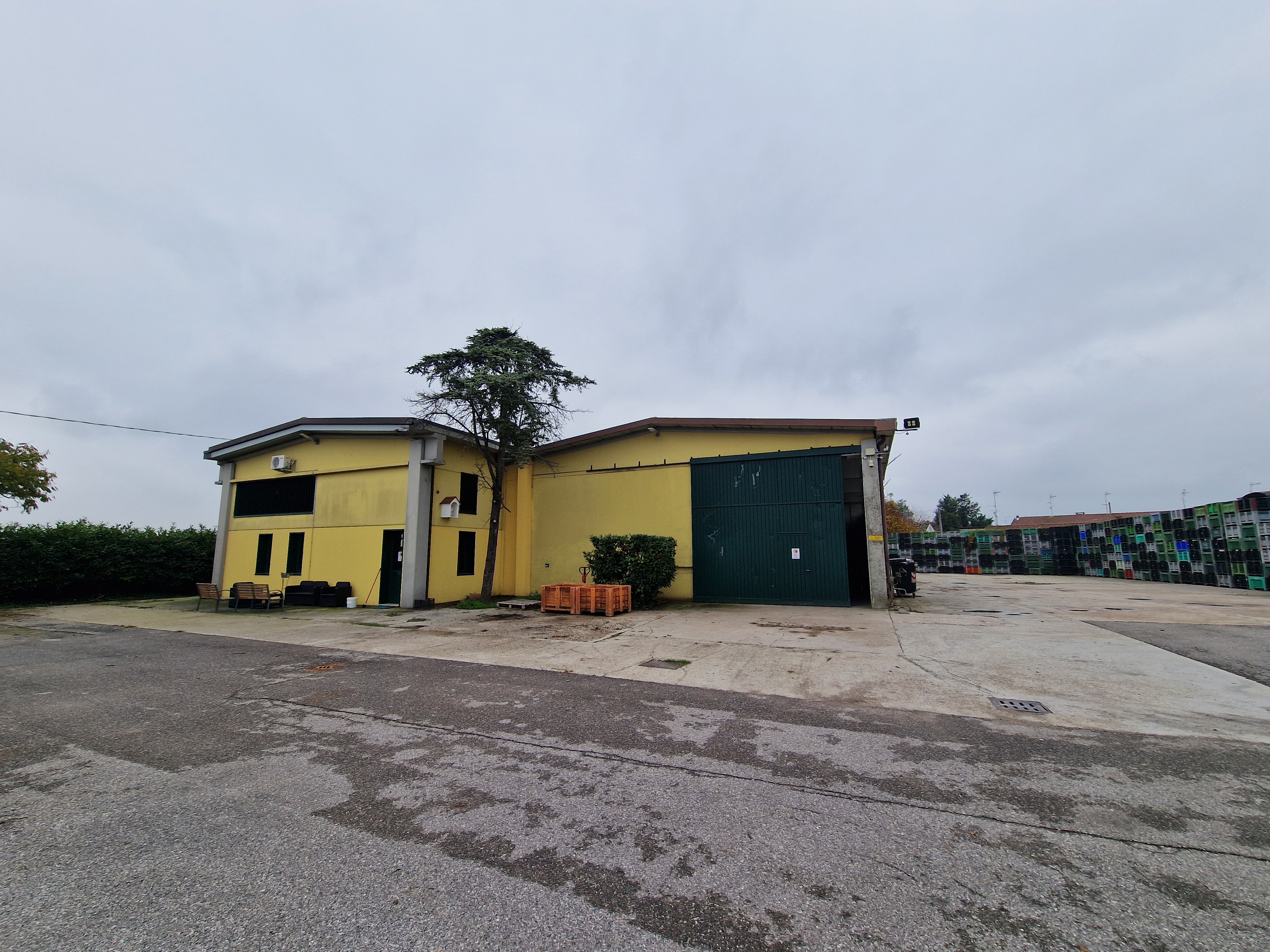 Capannone con celle frigo, uffici e terreno in vendita - foto 4