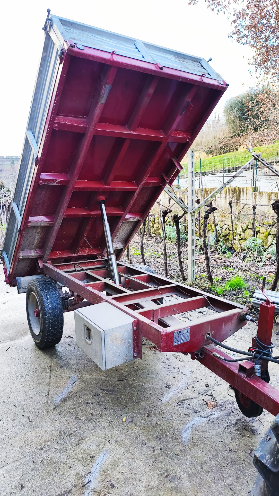 MONOASSE IDRAULICO 40 Q.li in vendita - foto 5