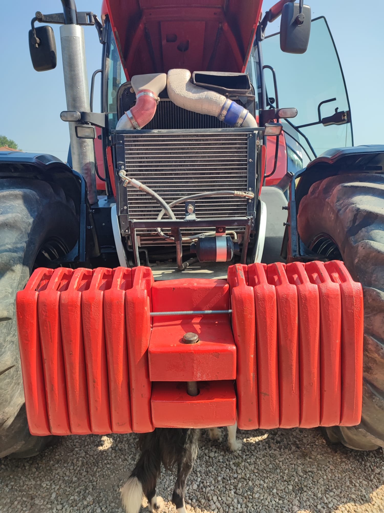 McCORMICK MTX 200 MECCANICO (CON POCHE ORE) in vendita - foto 11