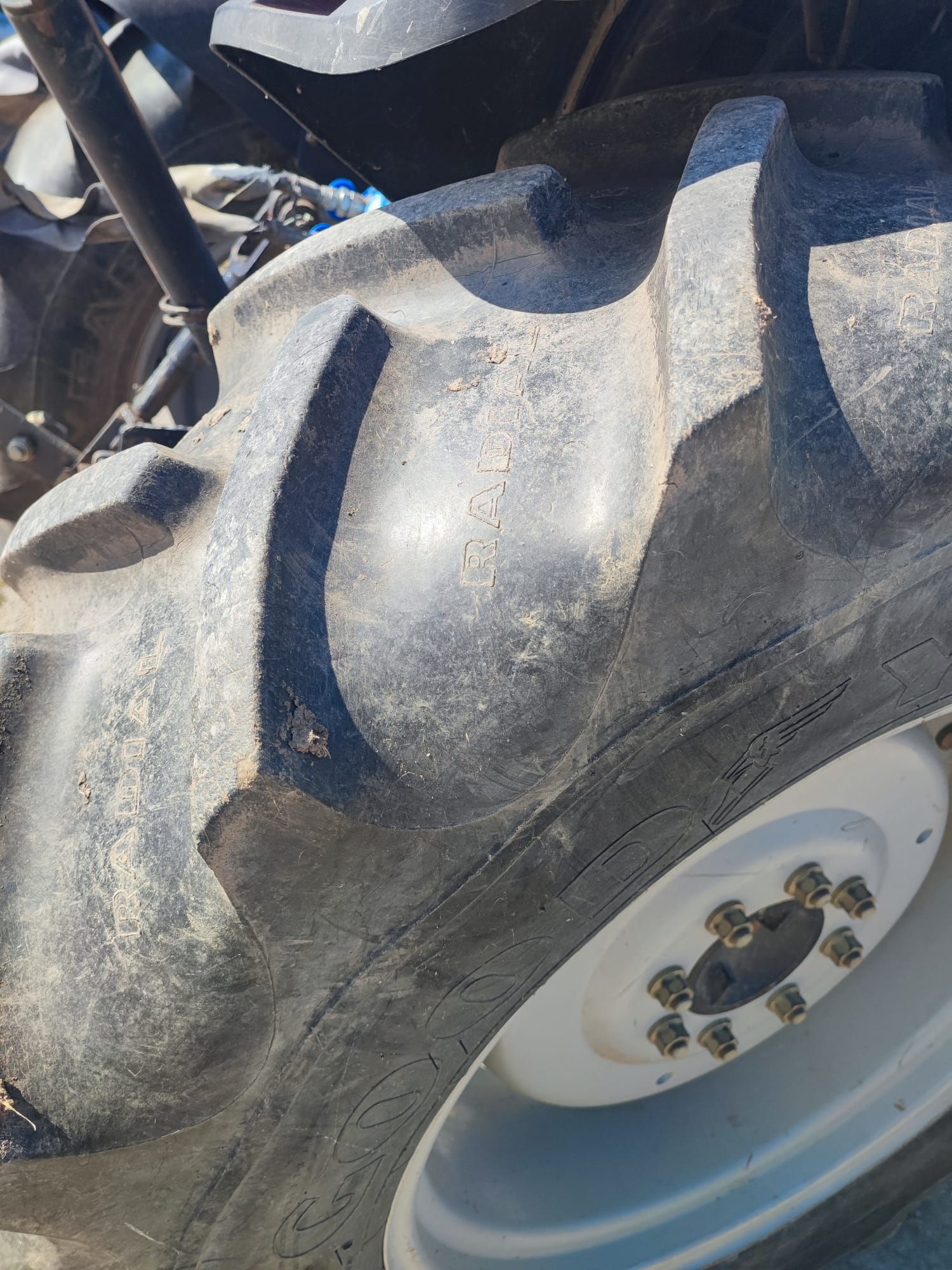 LANDINI FRUTTETO GLOBUS 55 GT  in vendita - foto 12