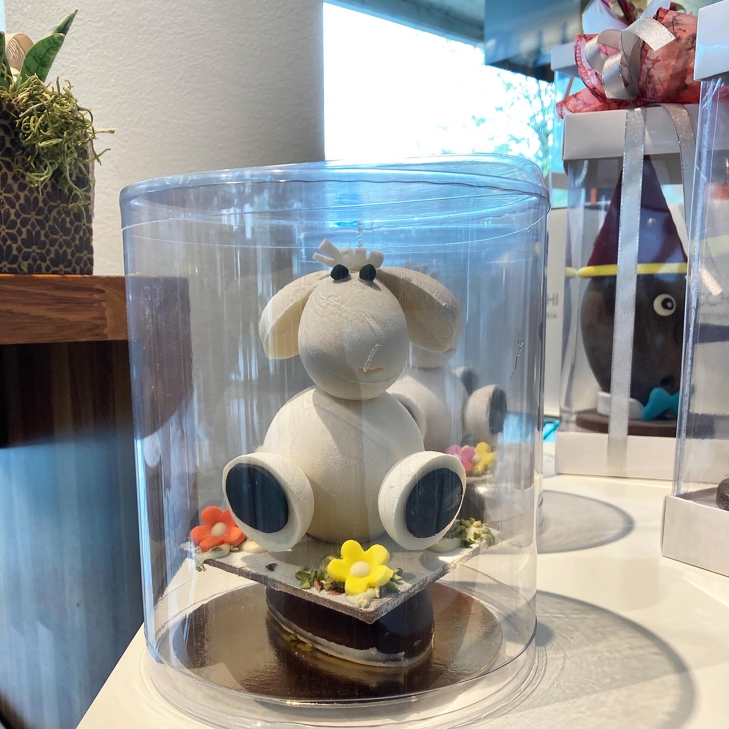 Azienda  famigliare settore packaging pasticceria  in vendita - foto 6