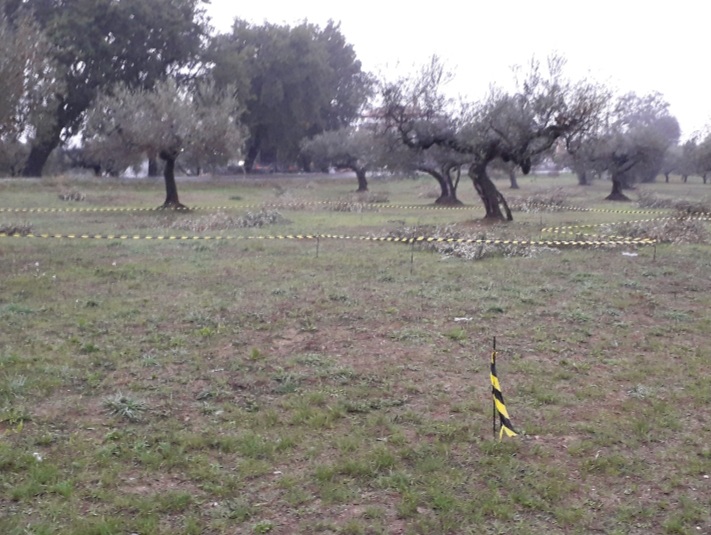 Cepagatti (PE) terreno edificabile in vendita. in vendita - foto 4