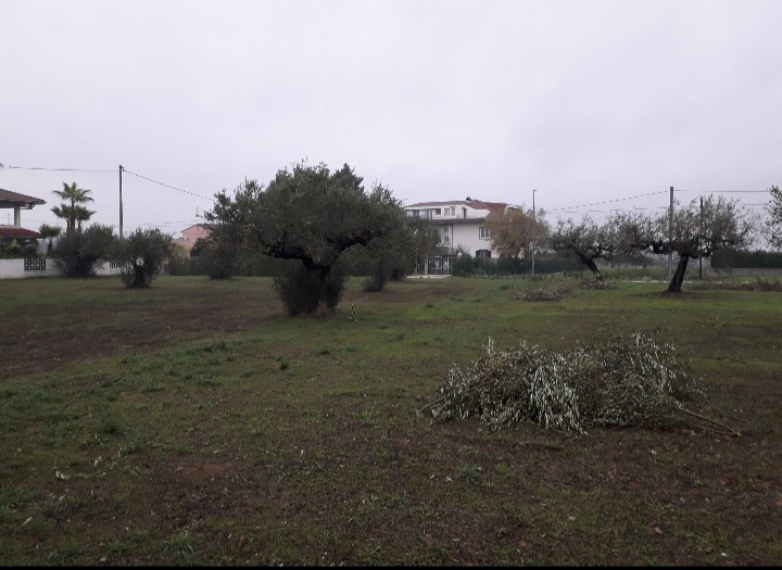 Cepagatti (PE) terreno edificabile in vendita. in vendita - foto 2