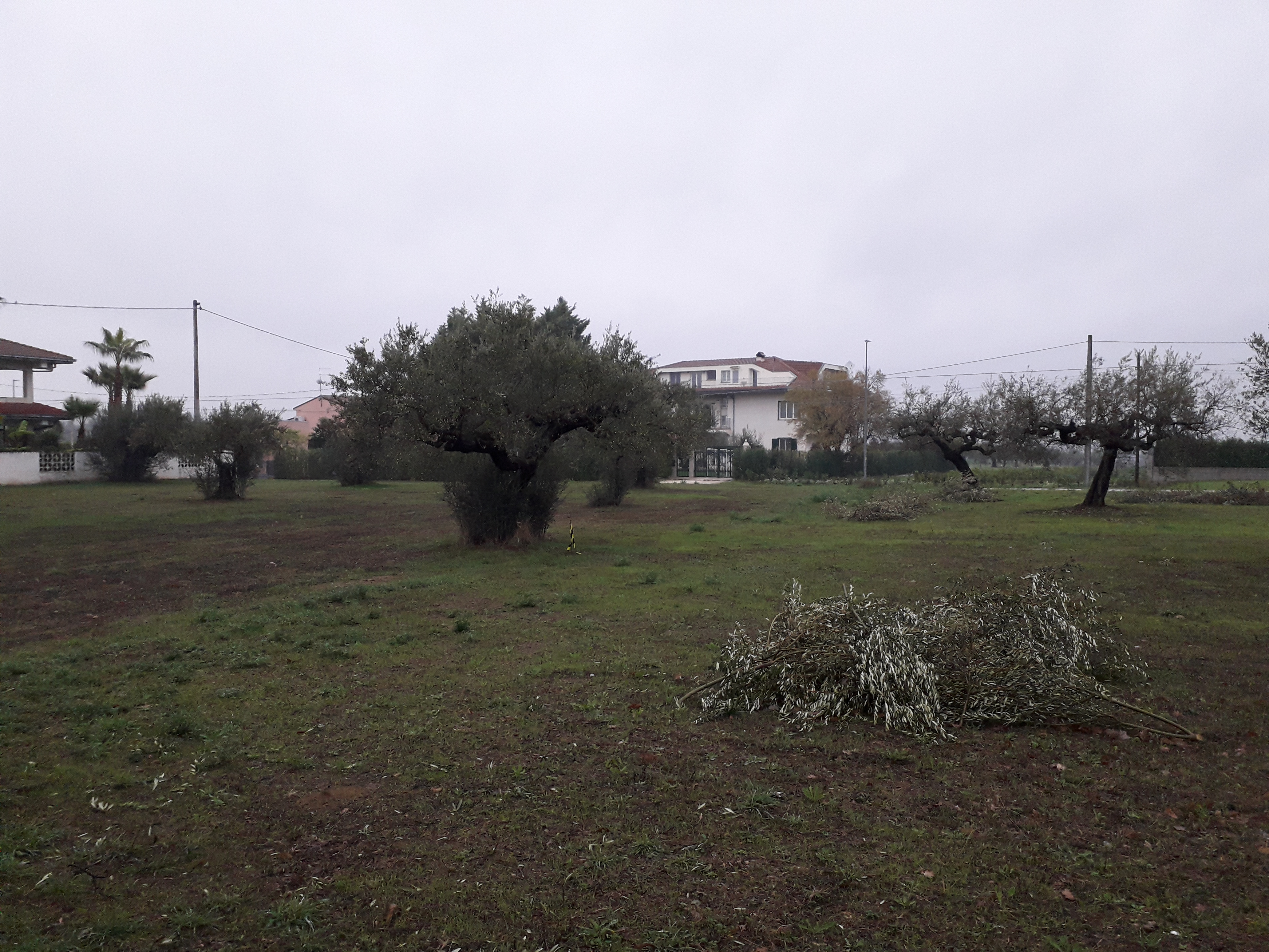 Cepagatti (PE) 3635 mq terreno edificabile  in vendita - foto 9
