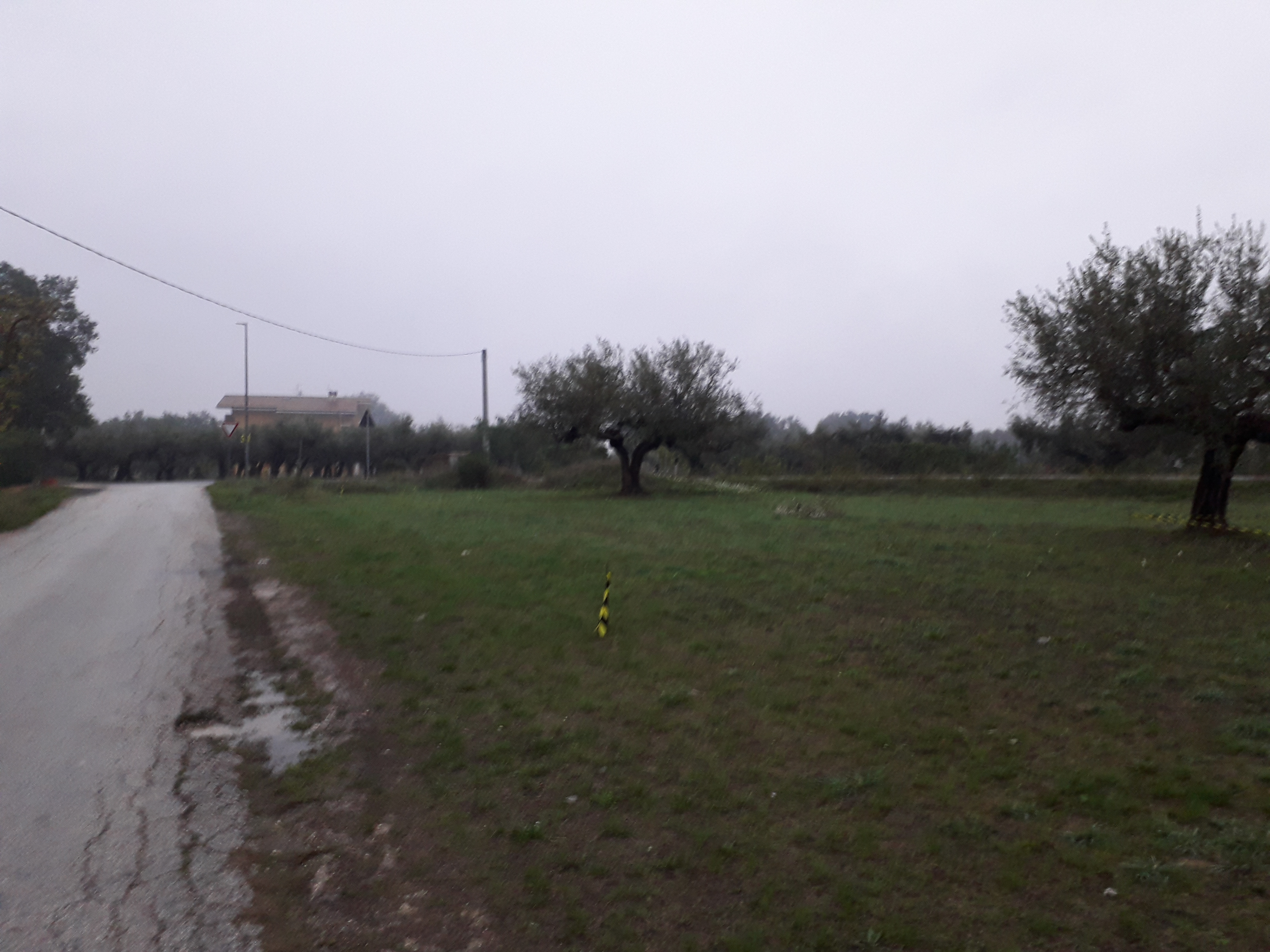 Cepagatti (PE) 3635 mq terreno edificabile  in vendita - foto 5