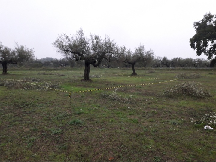 Cepagatti (PE) terreno edificabile in vendita. in vendita - foto 1