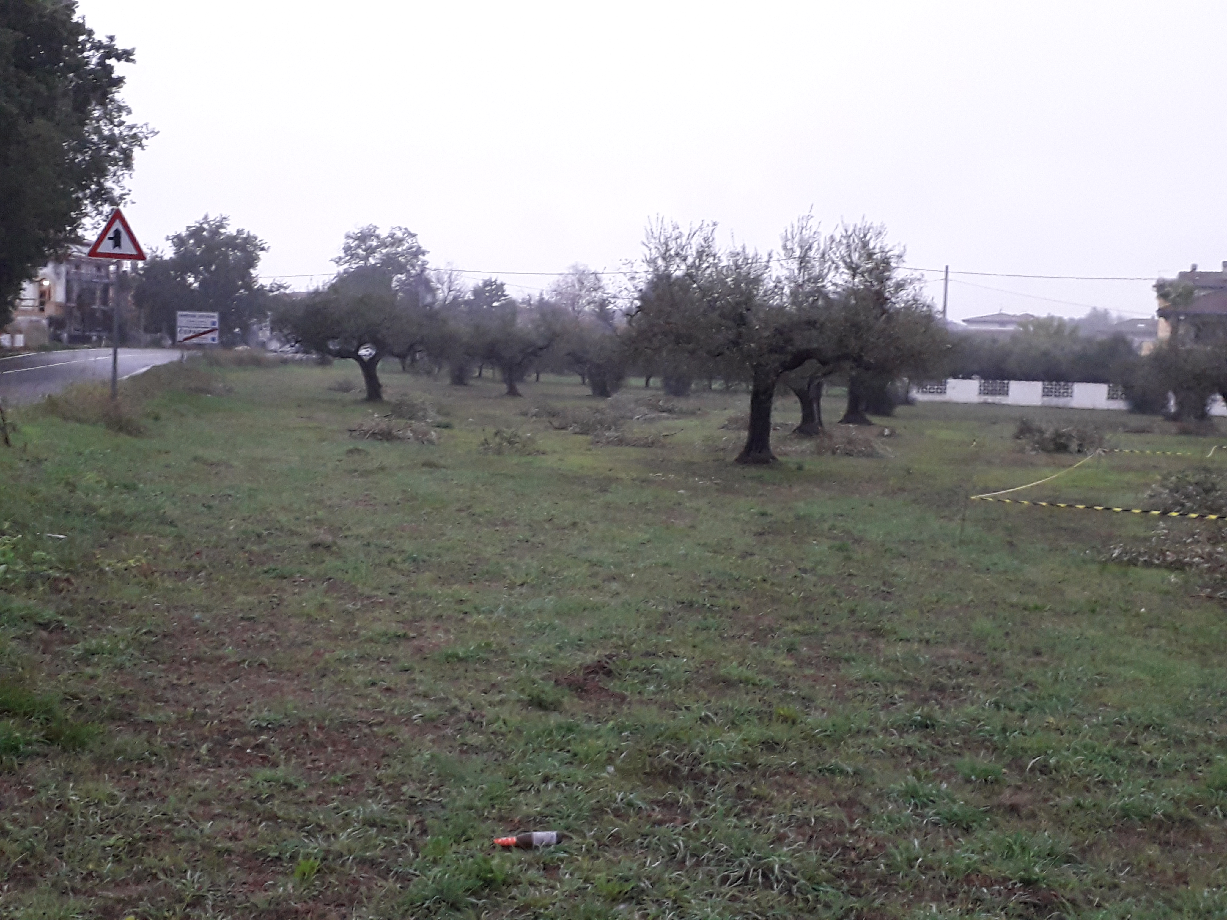 Cepagatti (PE) 3635 mq terreno edificabile  in vendita - foto 4