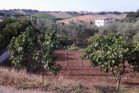 Pianella (PE) terreno edificabile in vendita. in vendita - foto 5
