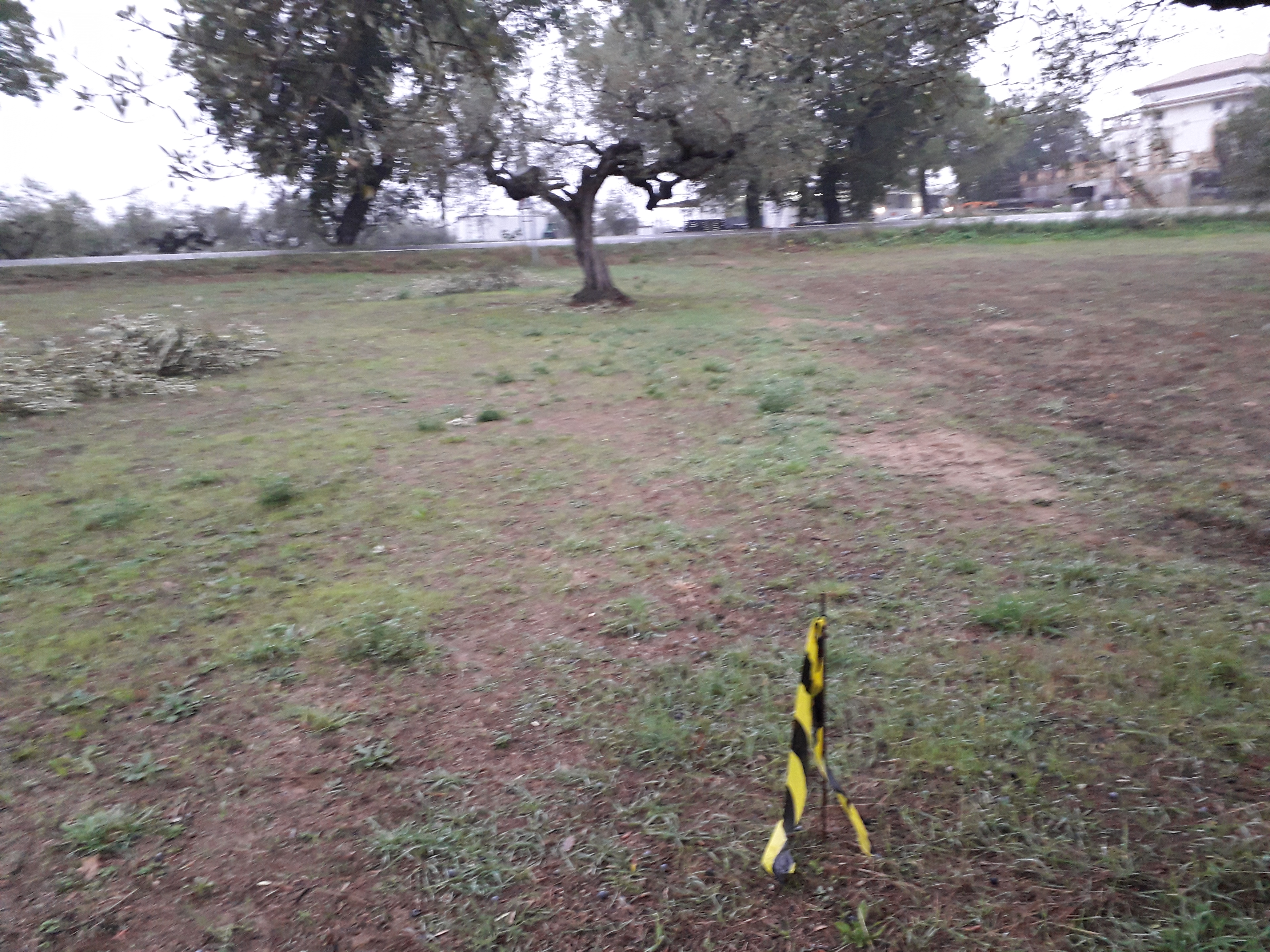Cepagatti (PE) 3635 mq terreno edificabile  in vendita - foto 6