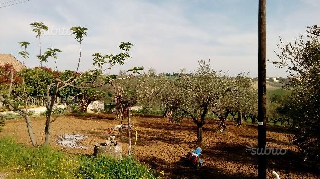 Pianella (PE) terreno edificabile in vendita. in vendita - foto 4