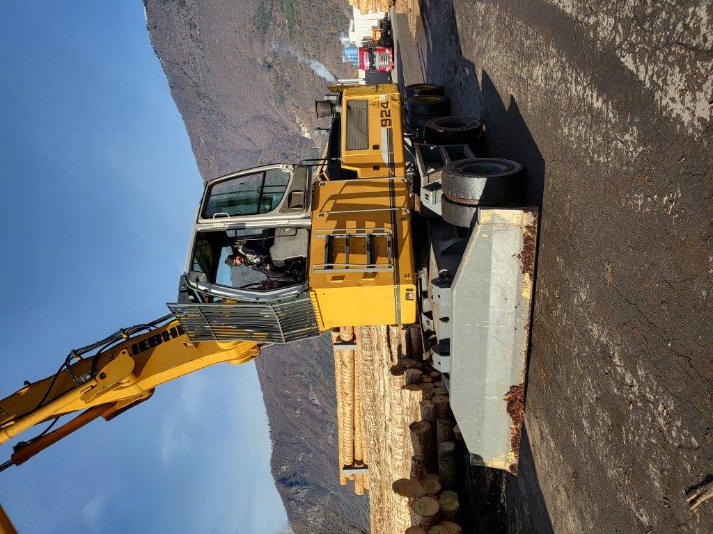 Varie legno in vendita