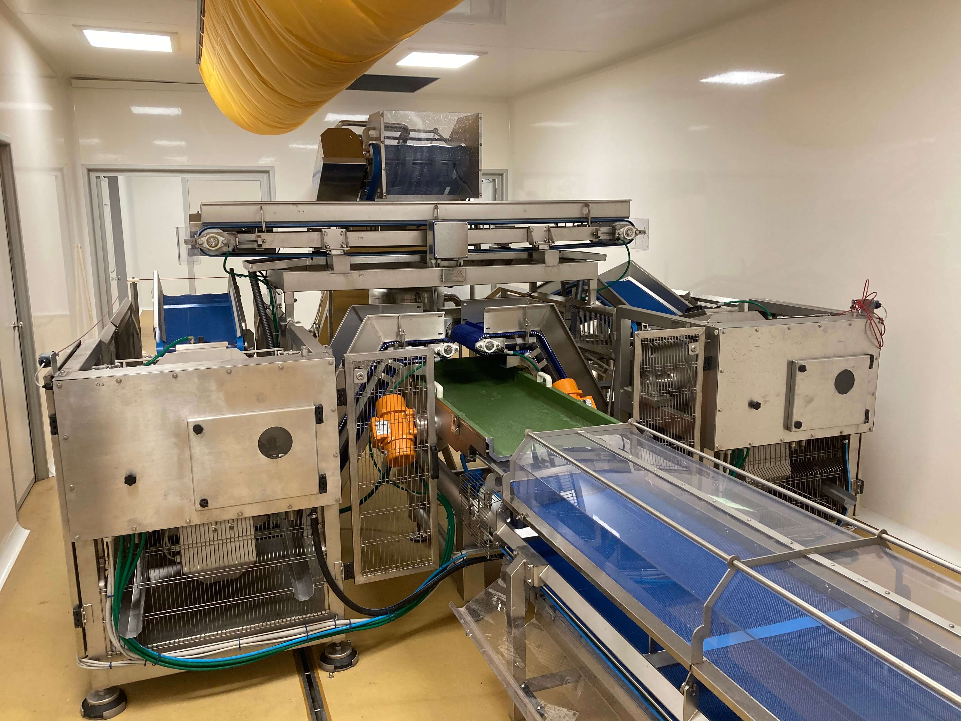 LINEA ASCIUGATURA VERDURA in vendita - foto 2