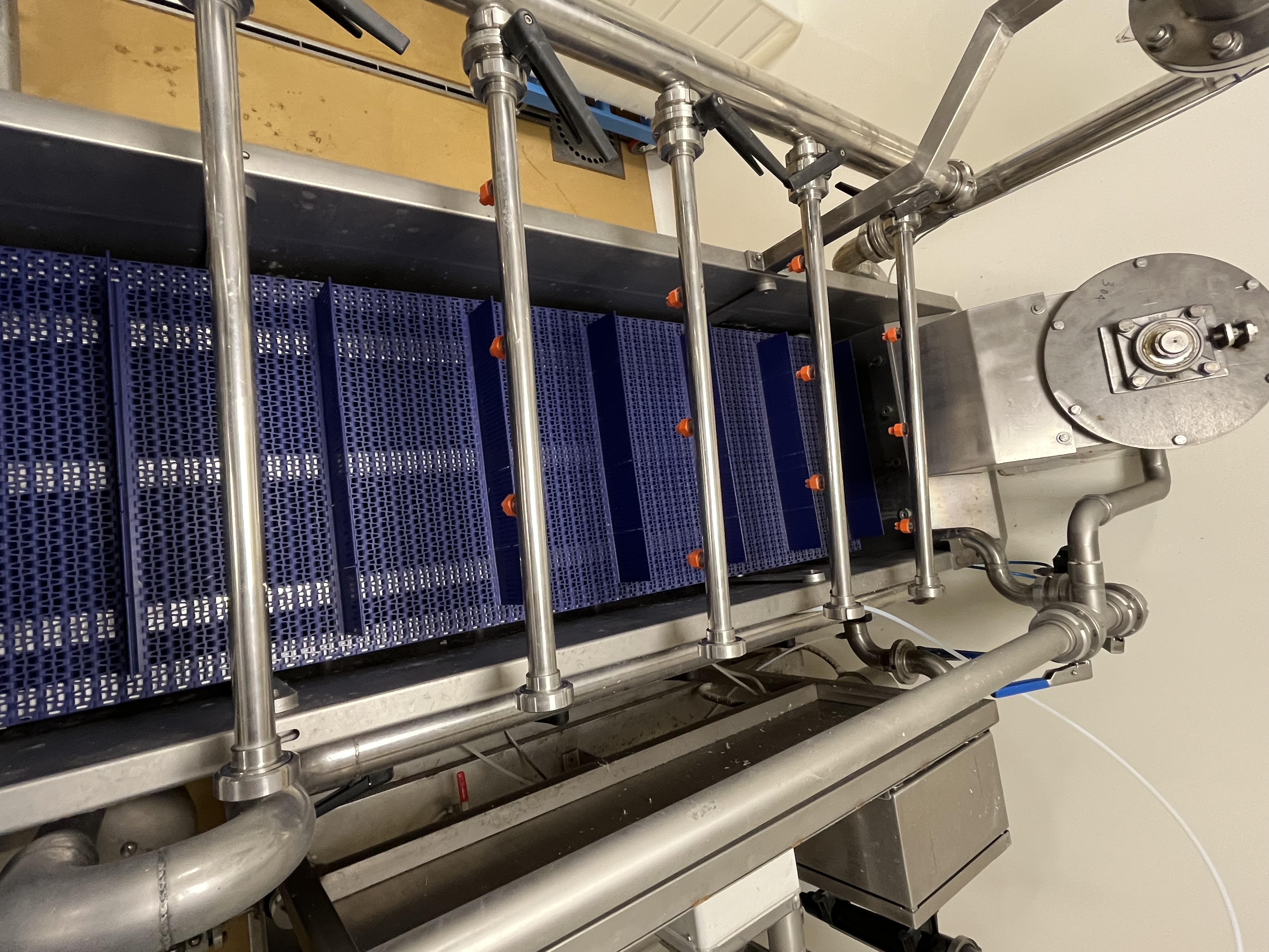 LINEA LAVAGGIO VERDURA E FRUTTA in vendita - foto 4