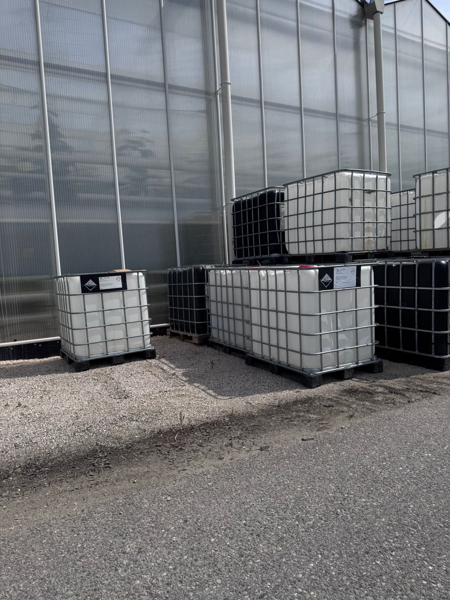 Cisterne IBC prezzo trattabile in vendita - foto 3