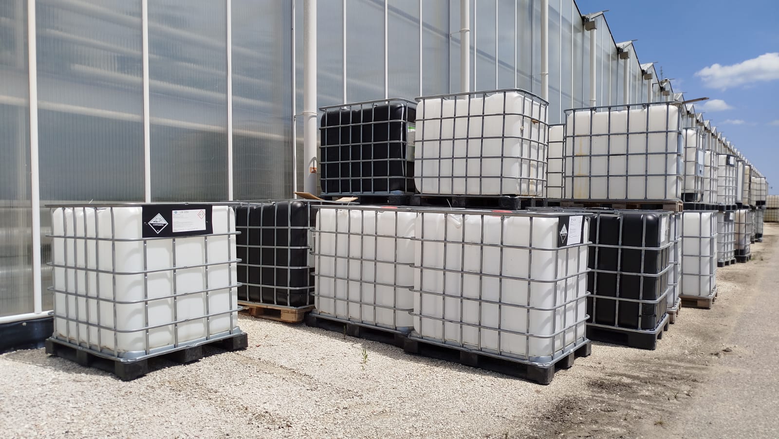Cisterne IBC prezzo trattabile in vendita - foto 1