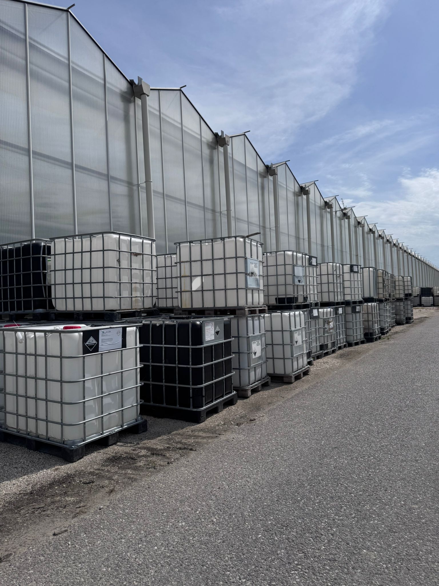Cisterne IBC prezzo trattabile in vendita - foto 4