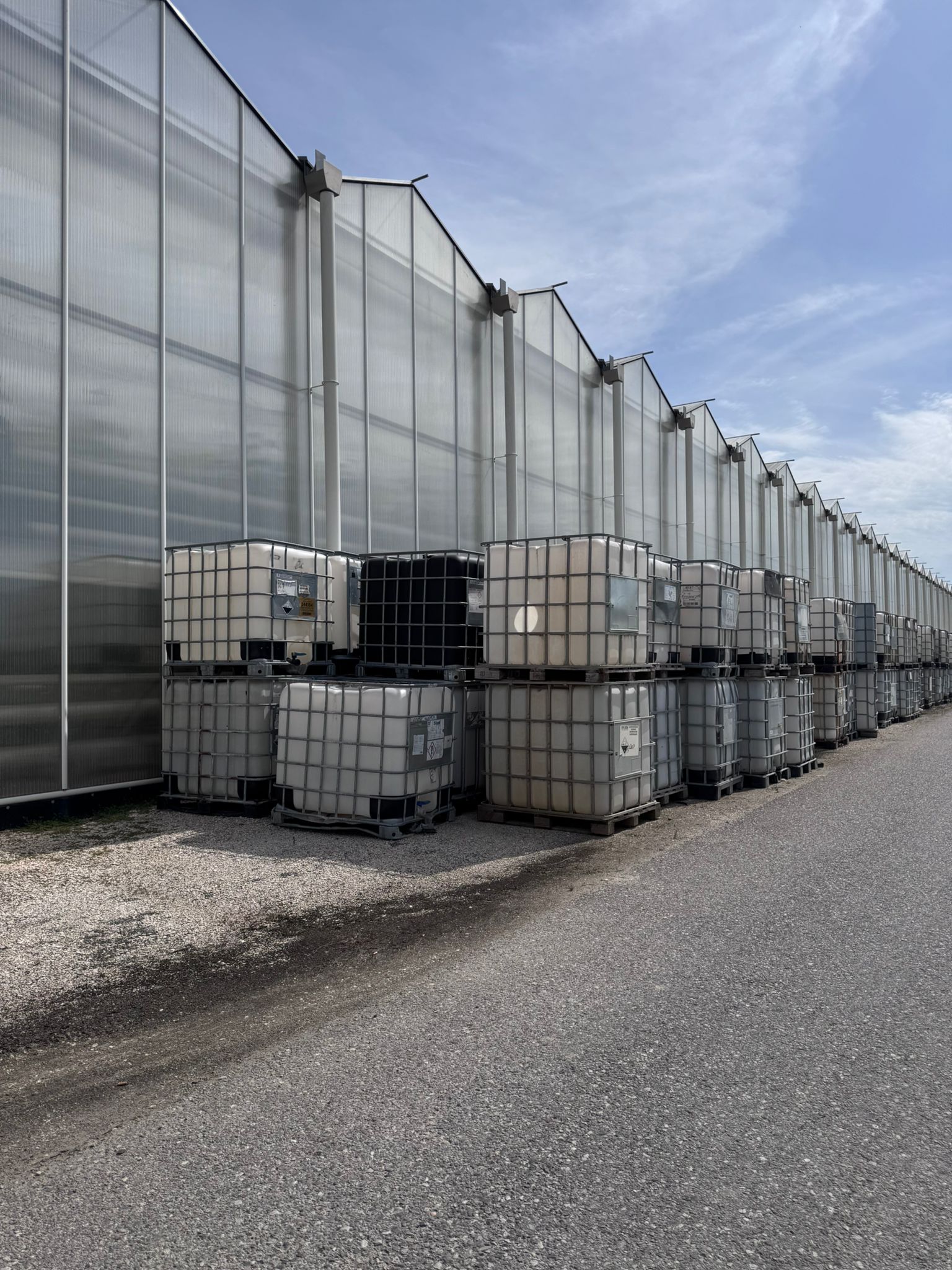 Cisterne IBC prezzo trattabile in vendita - foto 6