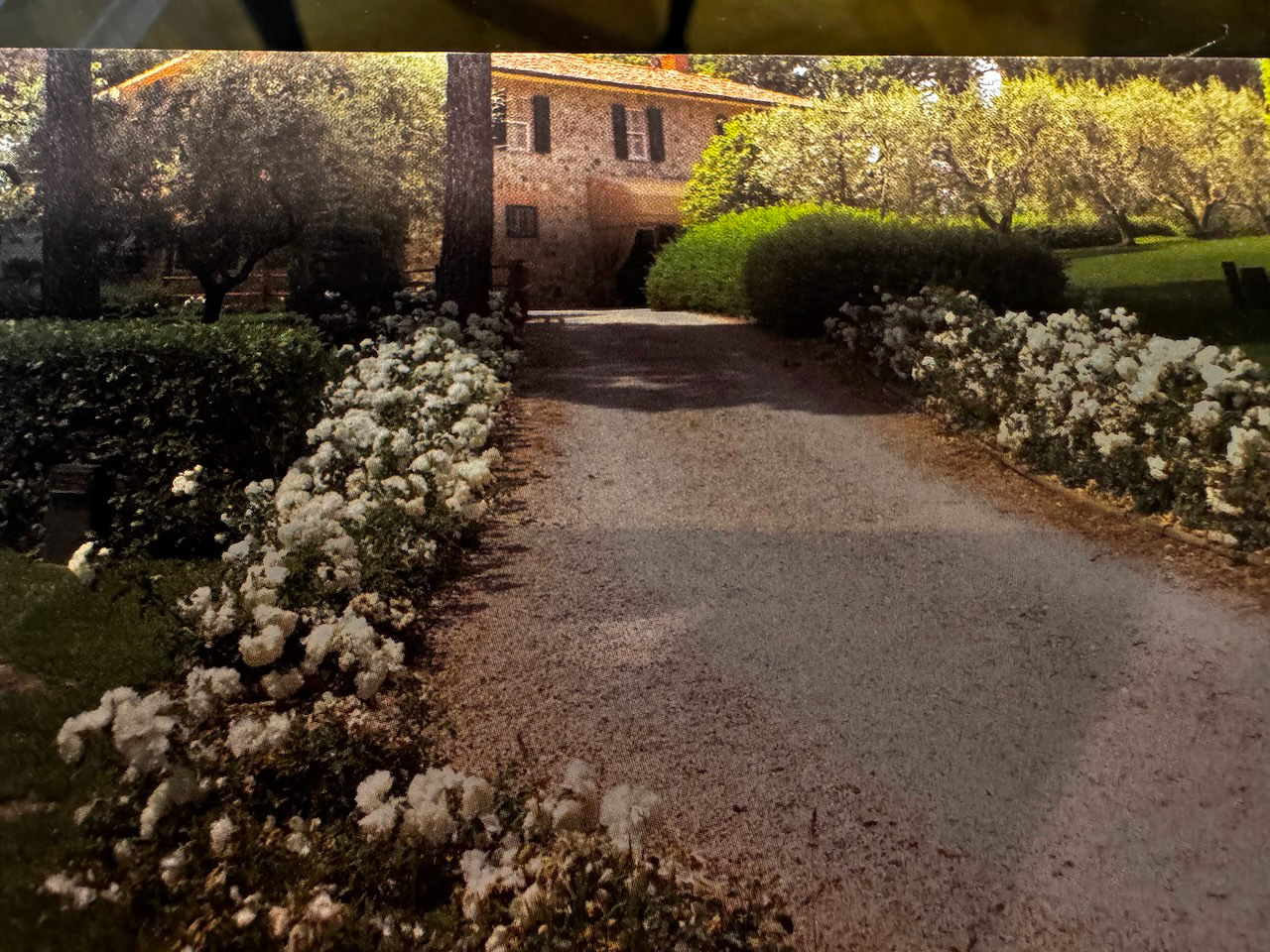  Azienda  vitivinicola e agriturismo in vendita  in vendita - foto 5