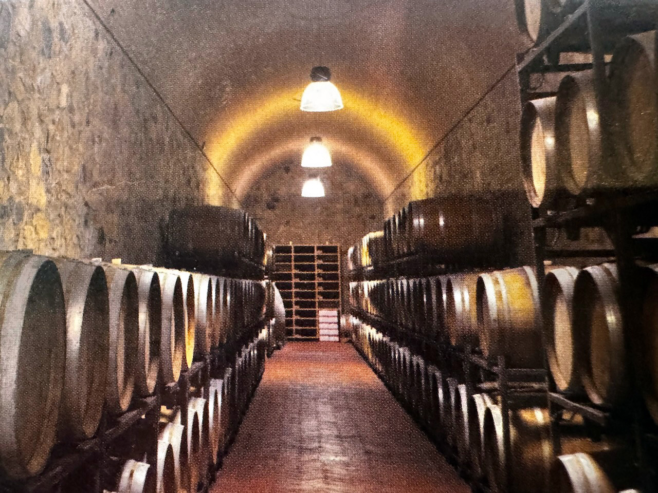  Azienda  vitivinicola e agriturismo in vendita  in vendita - foto 4