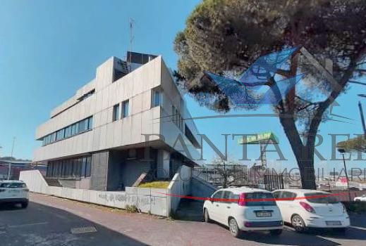 Vendita Uffici - Zona Romanina  in vendita - foto 2