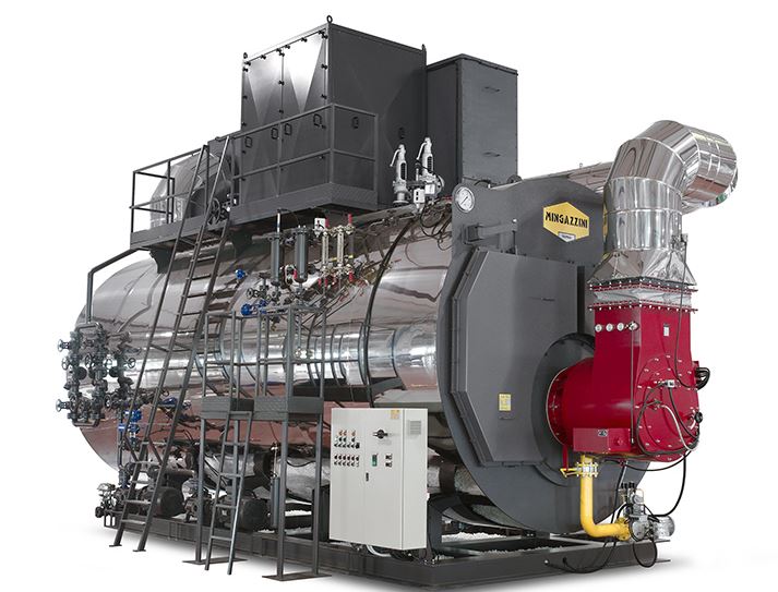 Generatore di vapore pressurizzato - modello PB 200 EU in vendita - foto 1