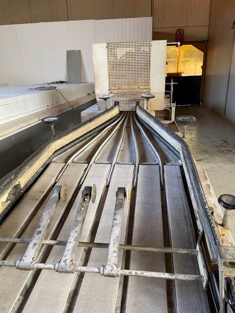 Grissinatrice  artigianale   integliamento automatico  in vendita - foto 4