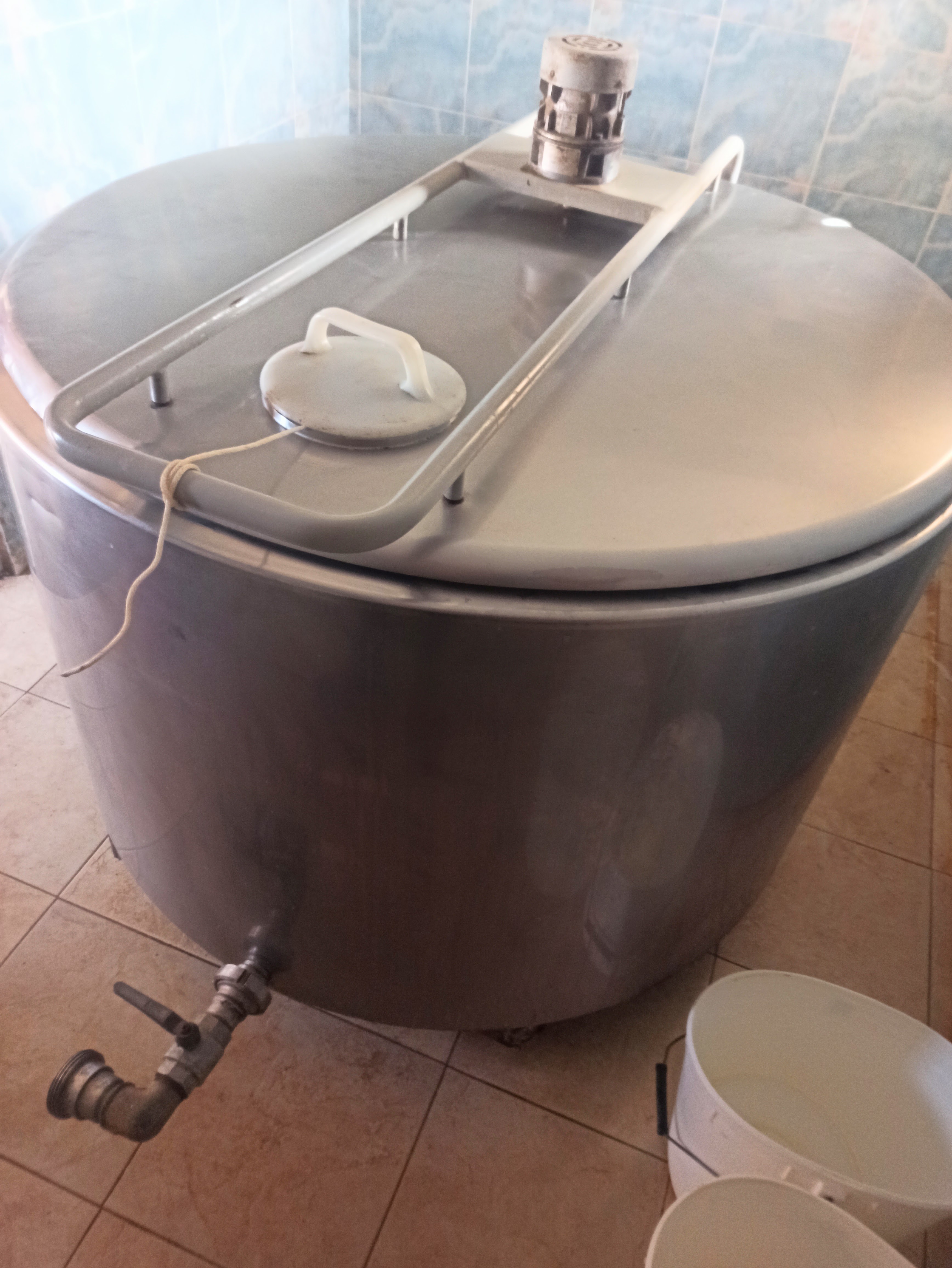 Vasca latte refrigerante in vendita - foto 2