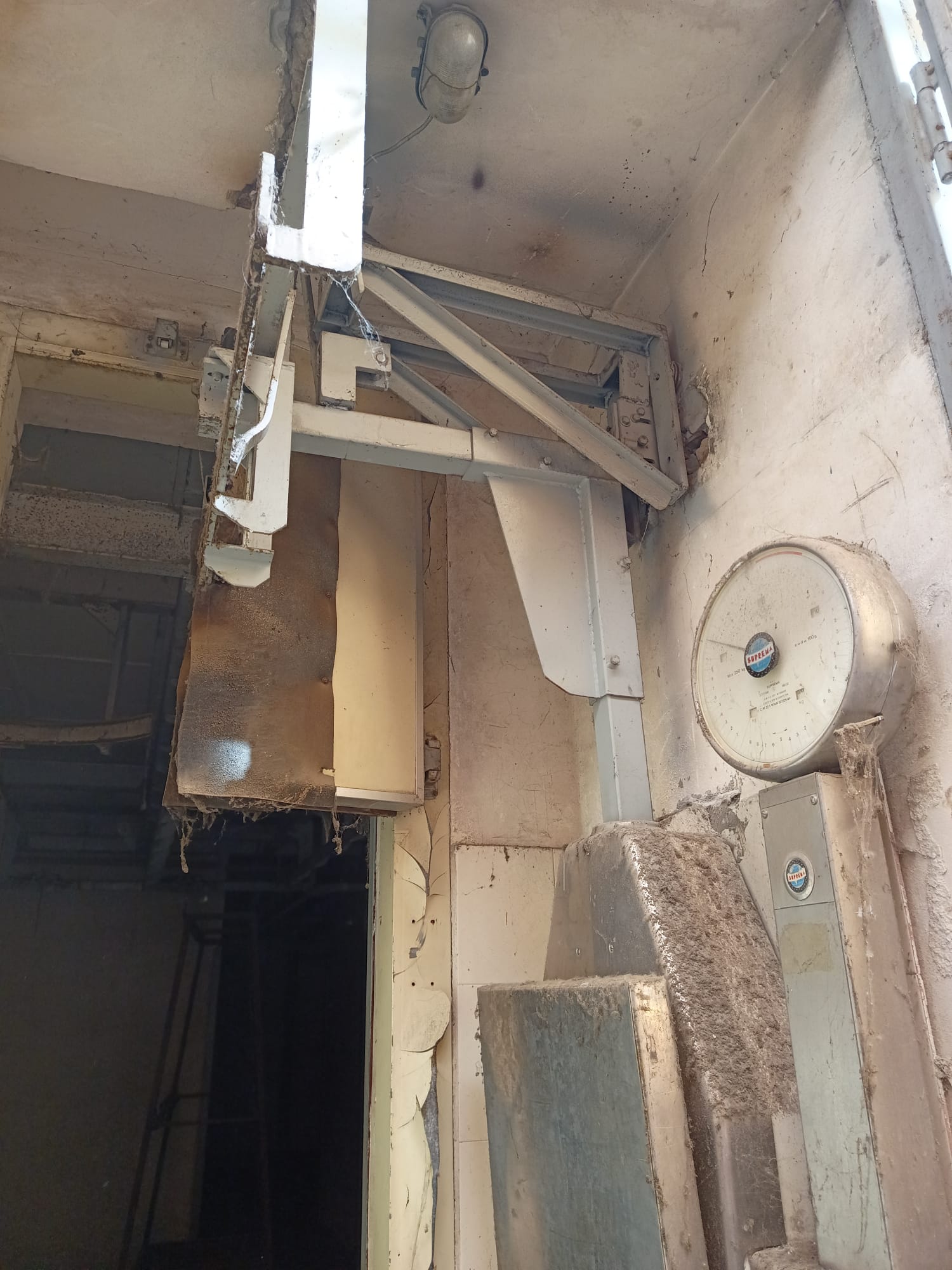  in Blocco o Singoli Pezzi per Macello Macelleria in vendita - foto 4