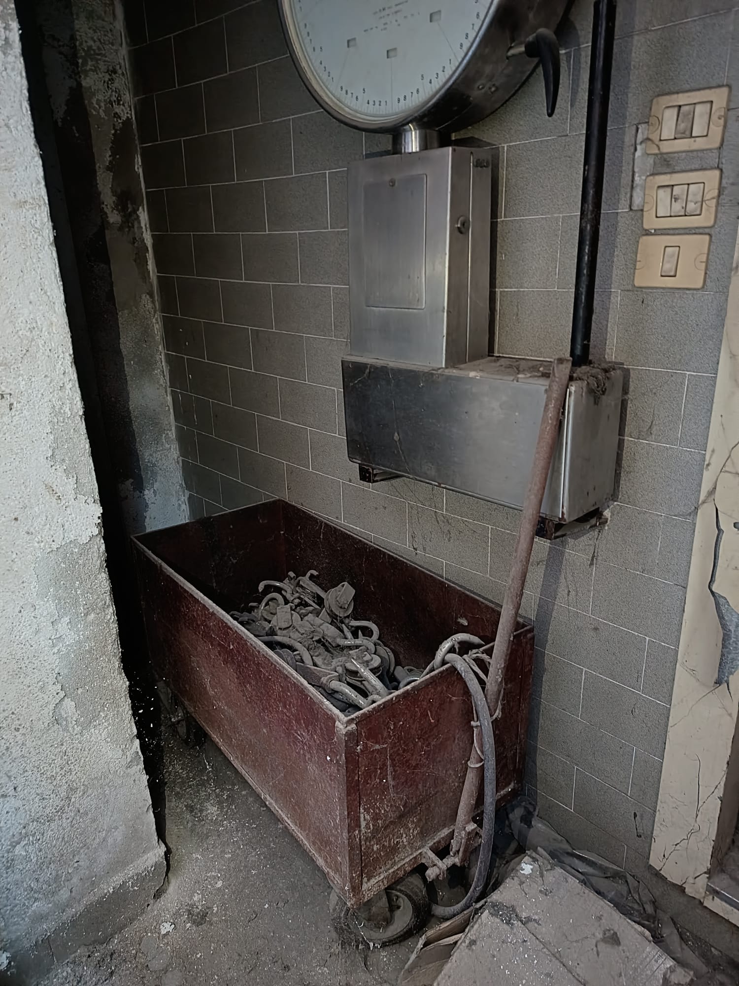  in Blocco o Singoli Pezzi per Macello Macelleria in vendita - foto 12