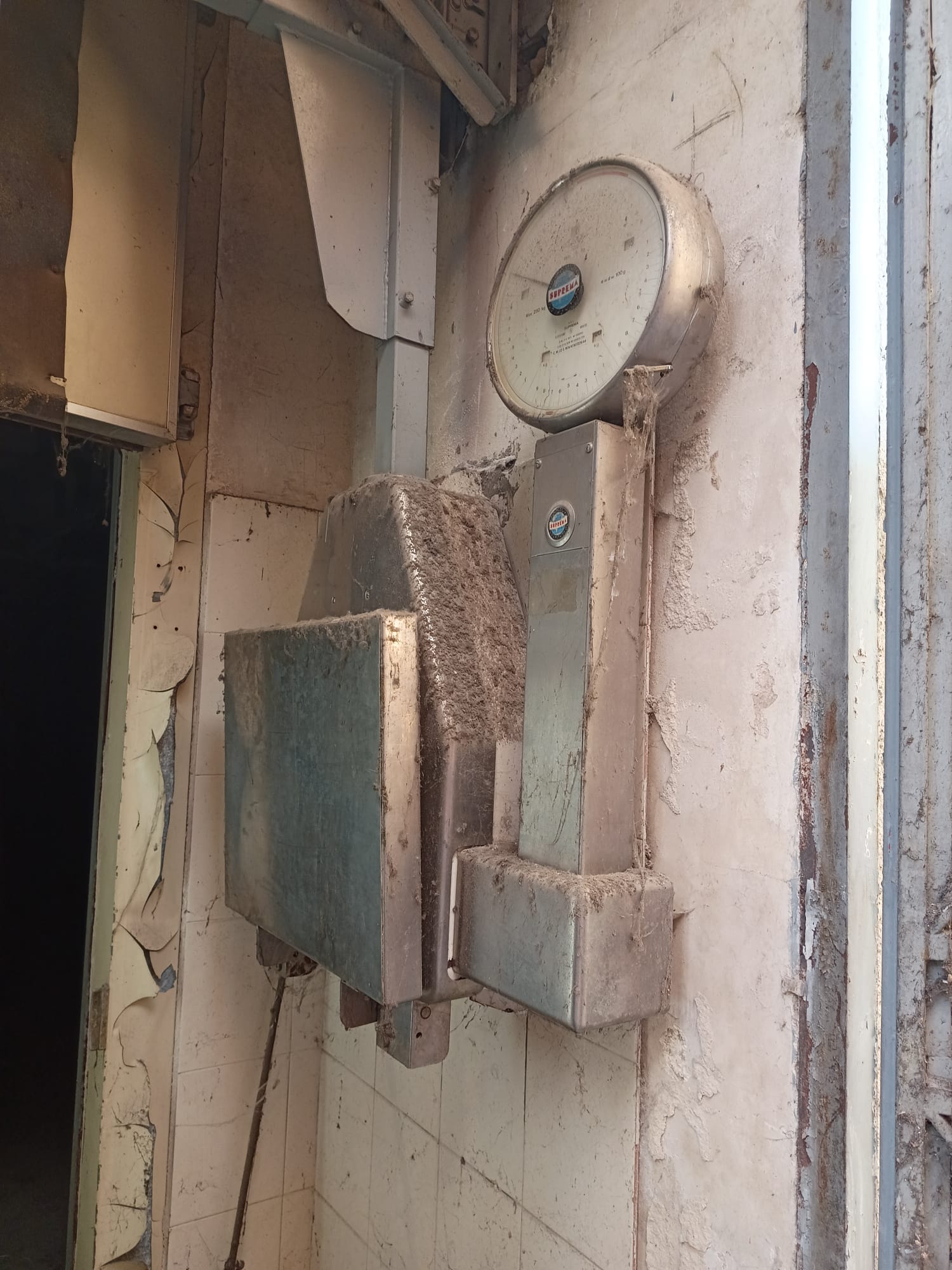Attrezzature per Macelleria in vendita - foto 2