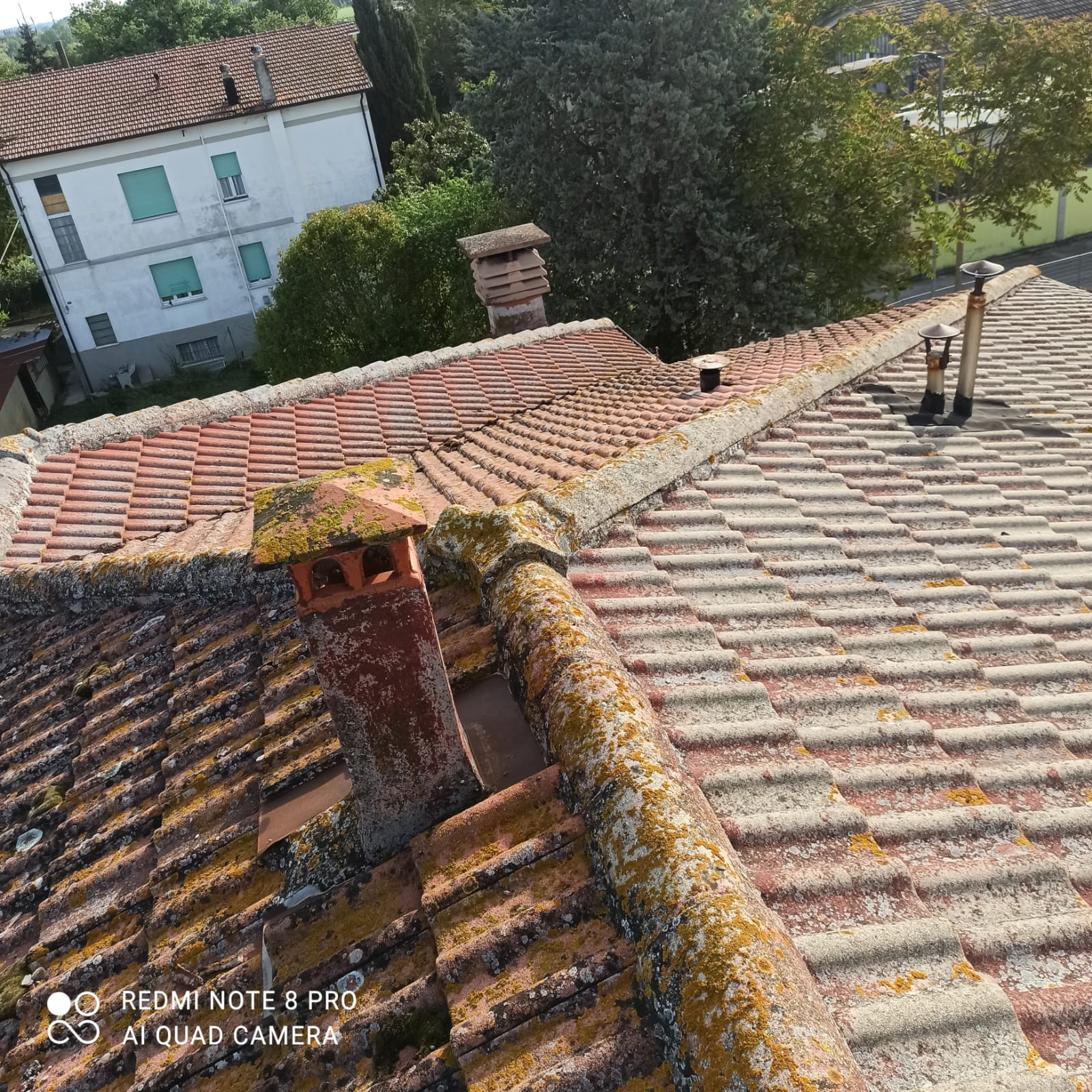 capannone 3 archi con 2 appartamenti in vendita - foto 4