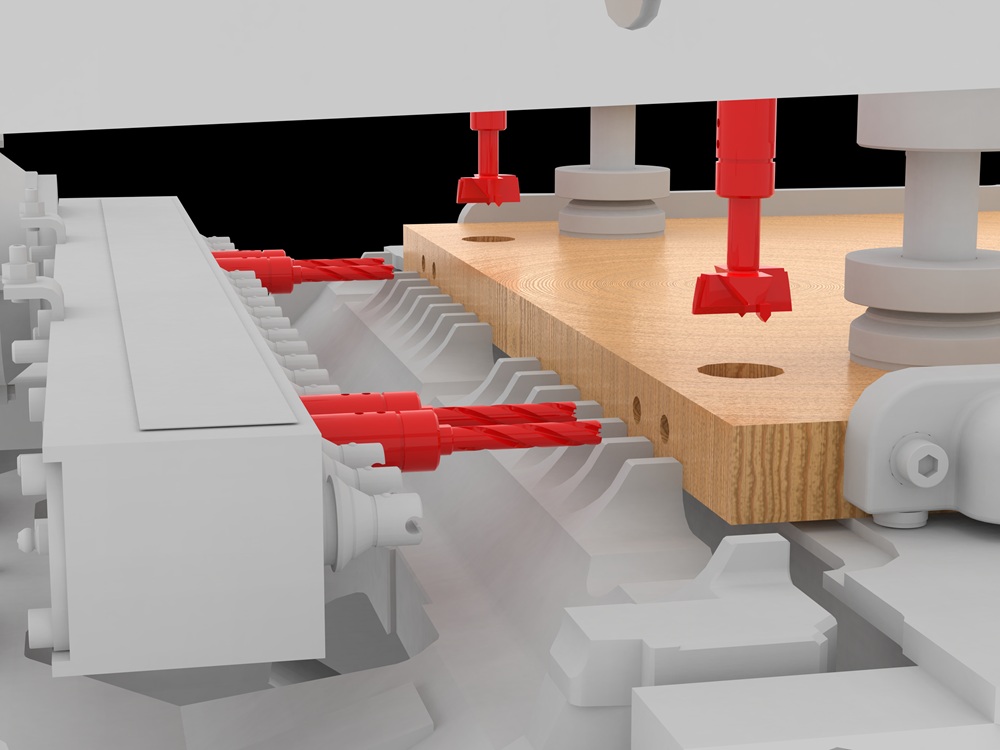 MAGGI - BS 42 Foratrice multimandrino potenziata in vendita - foto 3