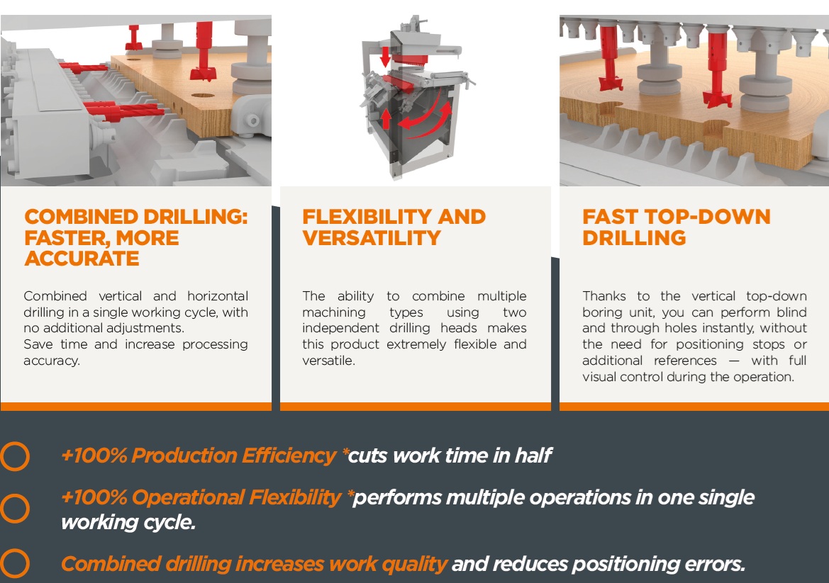 MAGGI - BS 42 Foratrice multimandrino potenziata in vendita - foto 4