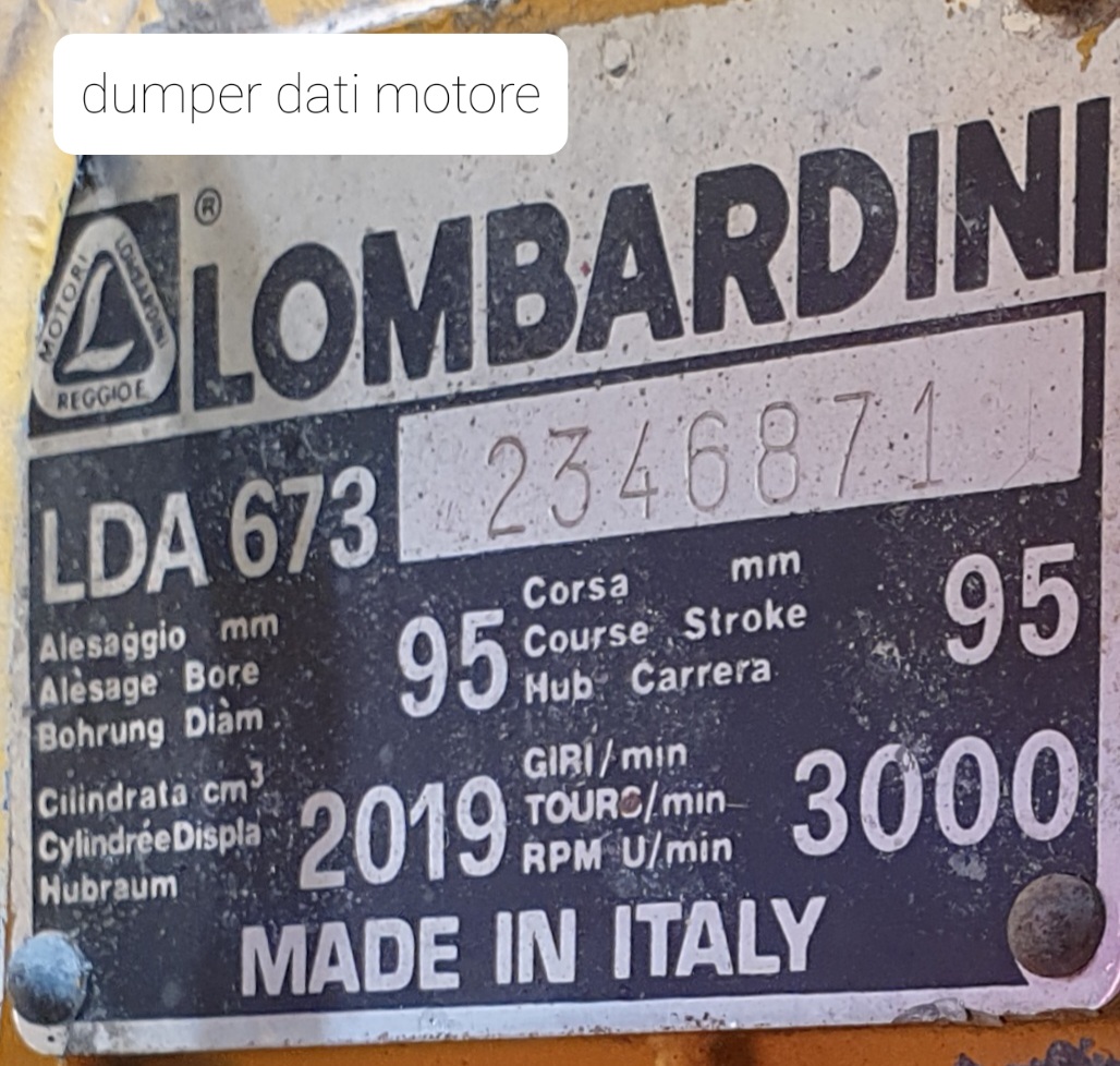 Dumper–Escavatore LONGHINI DHHM – Esemplare UNICO in vendita - foto 15