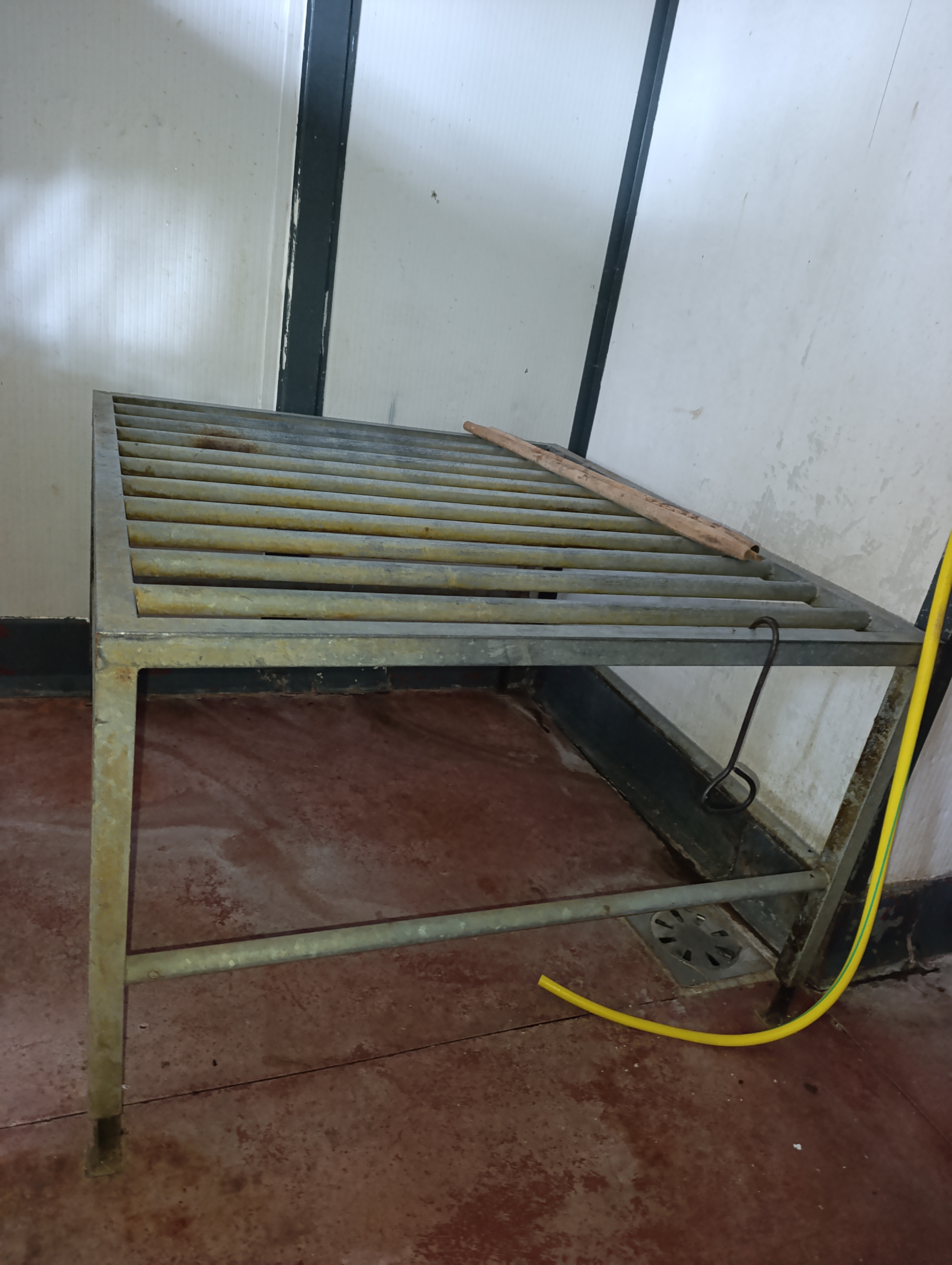 catena linea bovini,suini,zona tripperia,storditore in vendita - foto 7