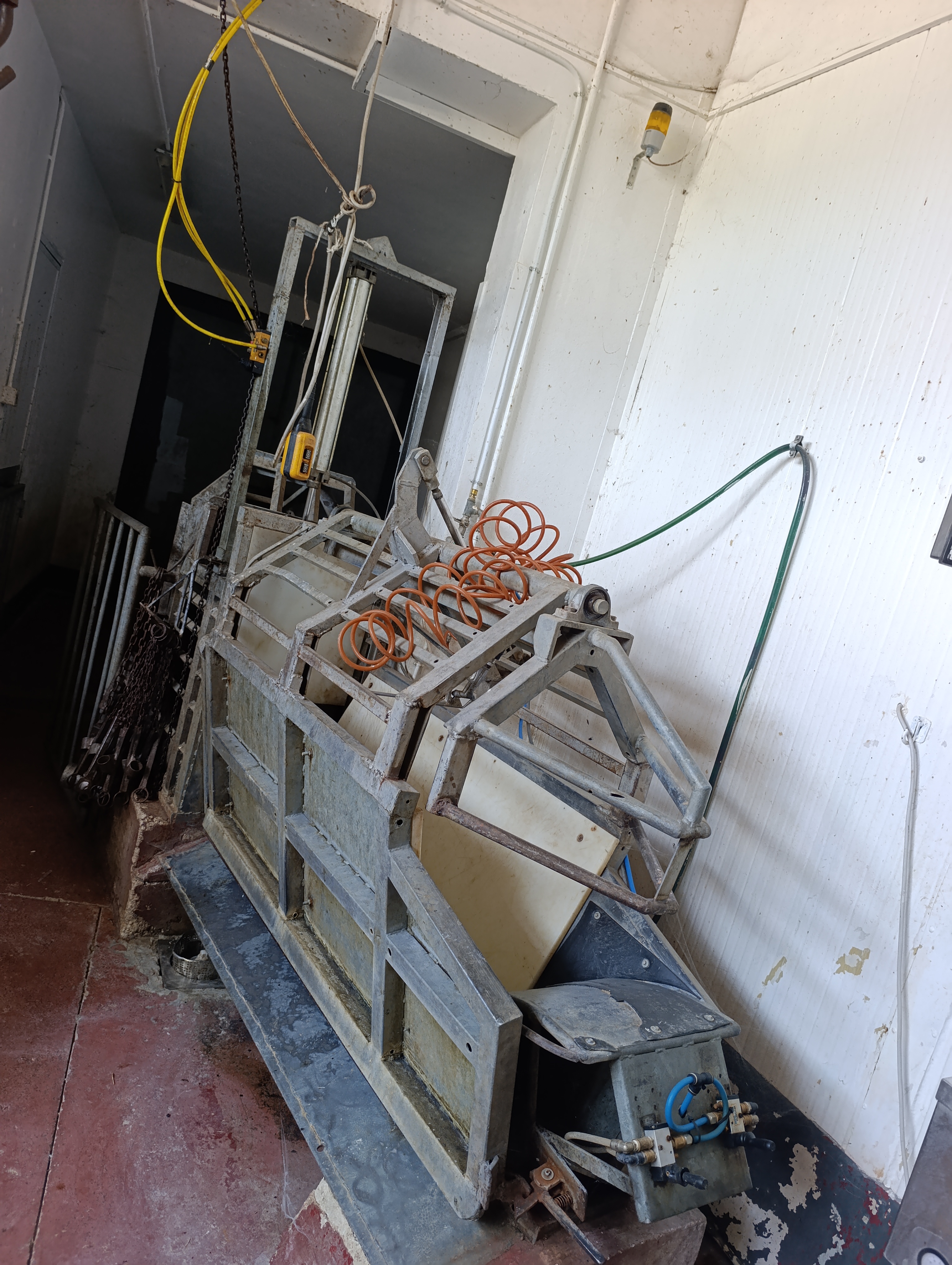 catena linea bovini,suini,zona tripperia,storditore in vendita - foto 4