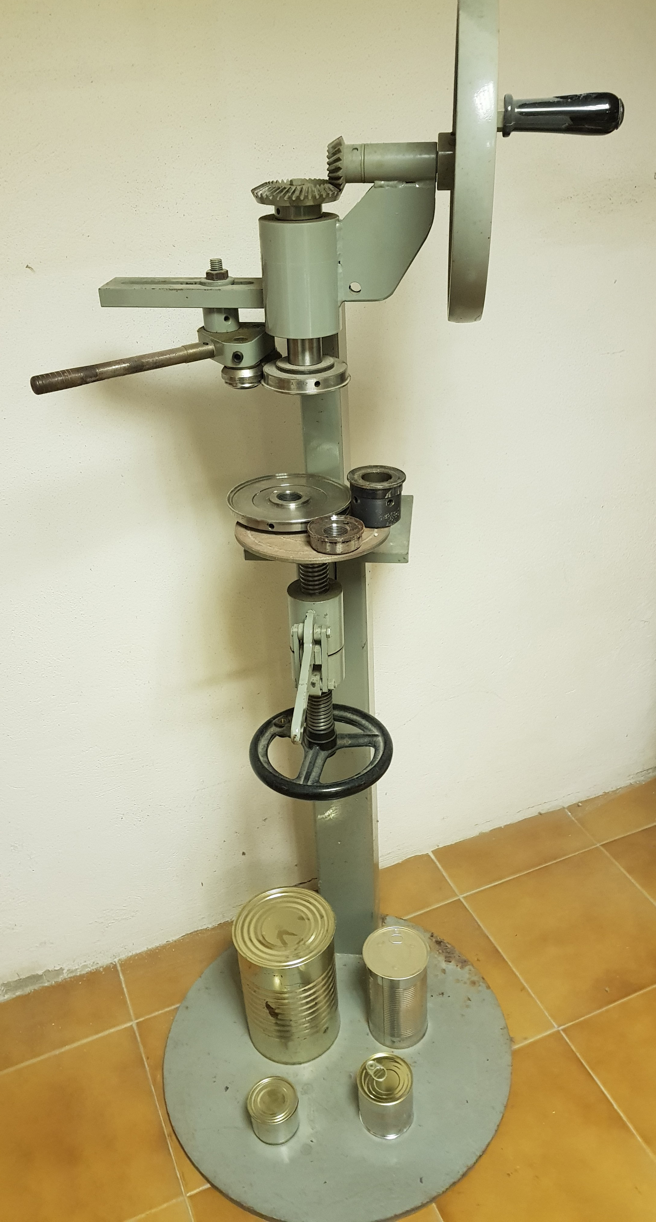 Lavorazione frutta e verdura in vendita
