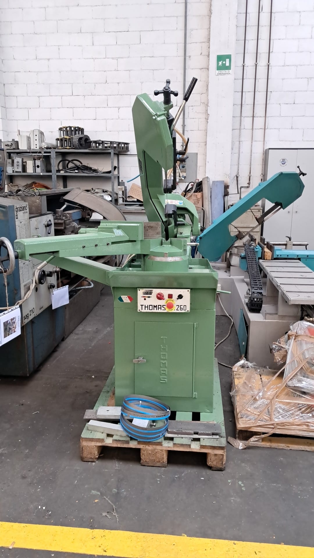SEGHETTO A NASTRO  THOMAS  MODELLO 260 in vendita - foto 1