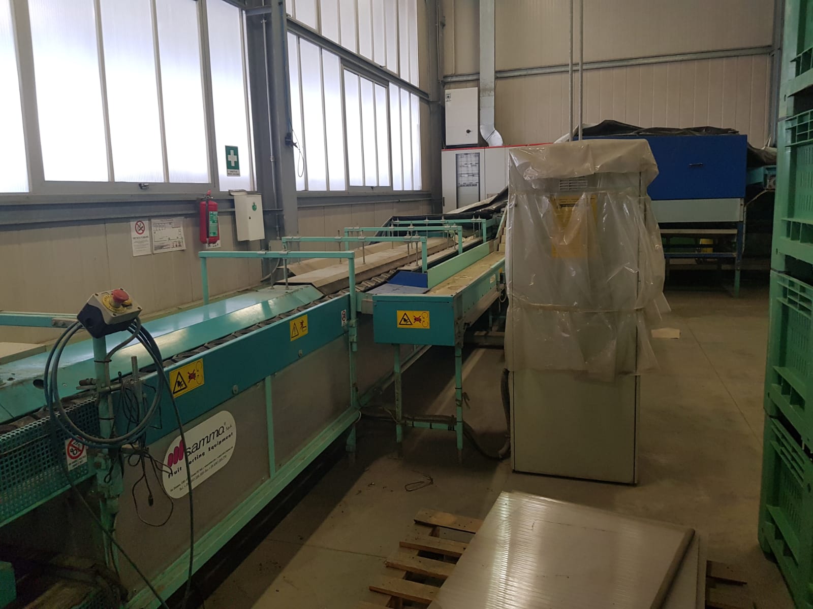 Linea di lavorazione Melone in vendita - foto 3